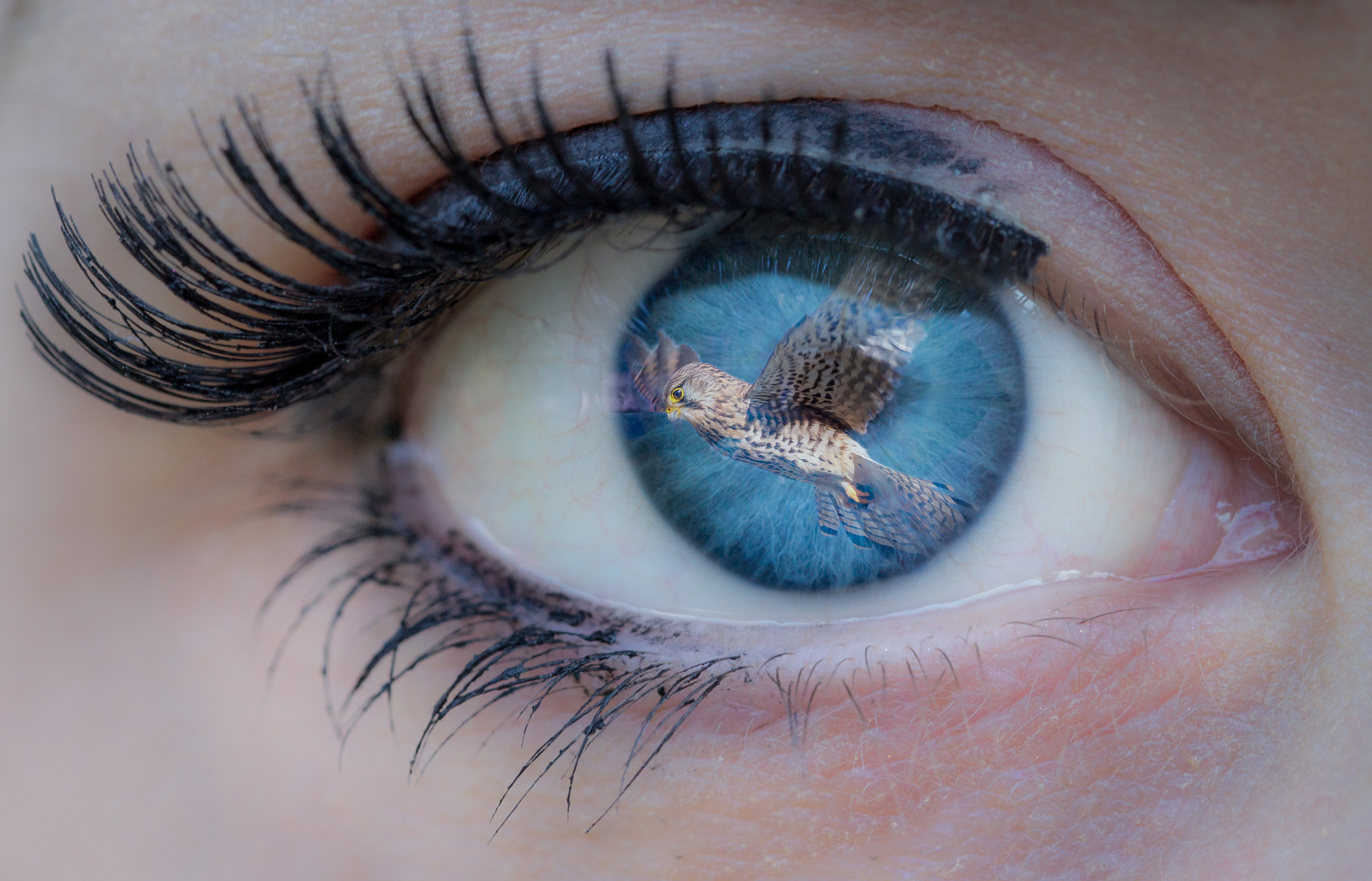 Canon EOS-1D Mark IV sample photo. Eye full photography