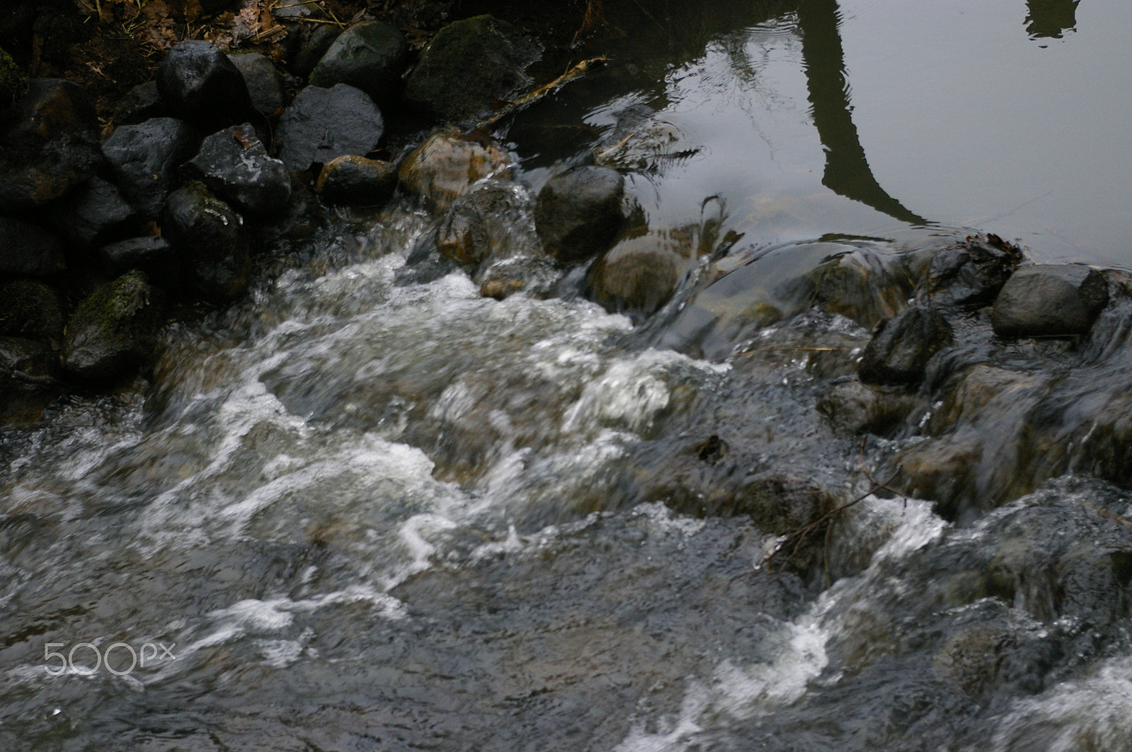 Pentax K100D Super sample photo. Bach bei borg lohheide photography