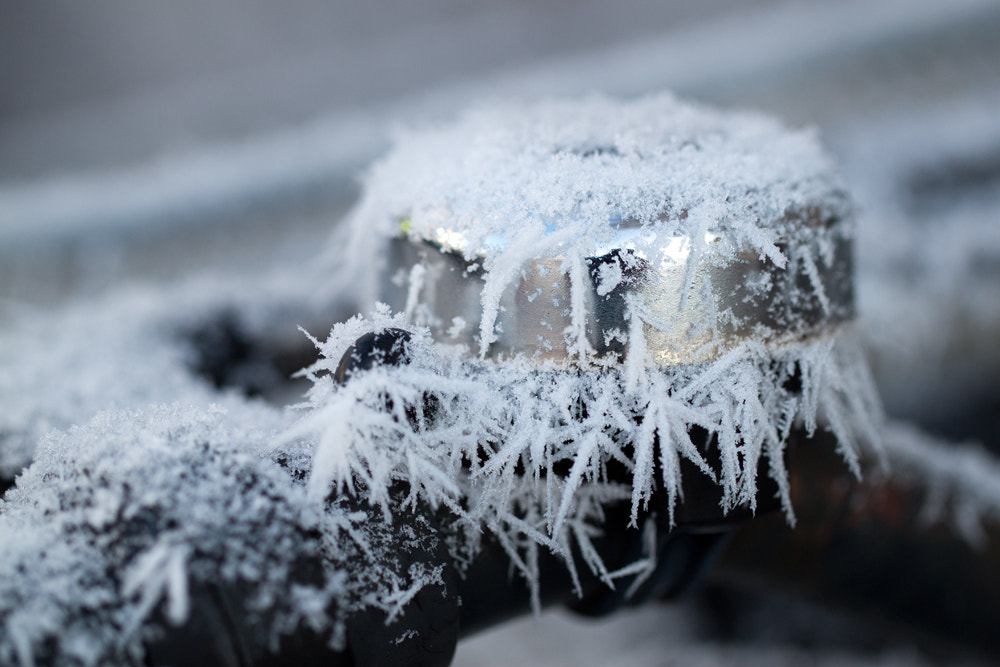 Canon EF 100mm F2.8L Macro IS USM sample photo. Ring my winter bell photography