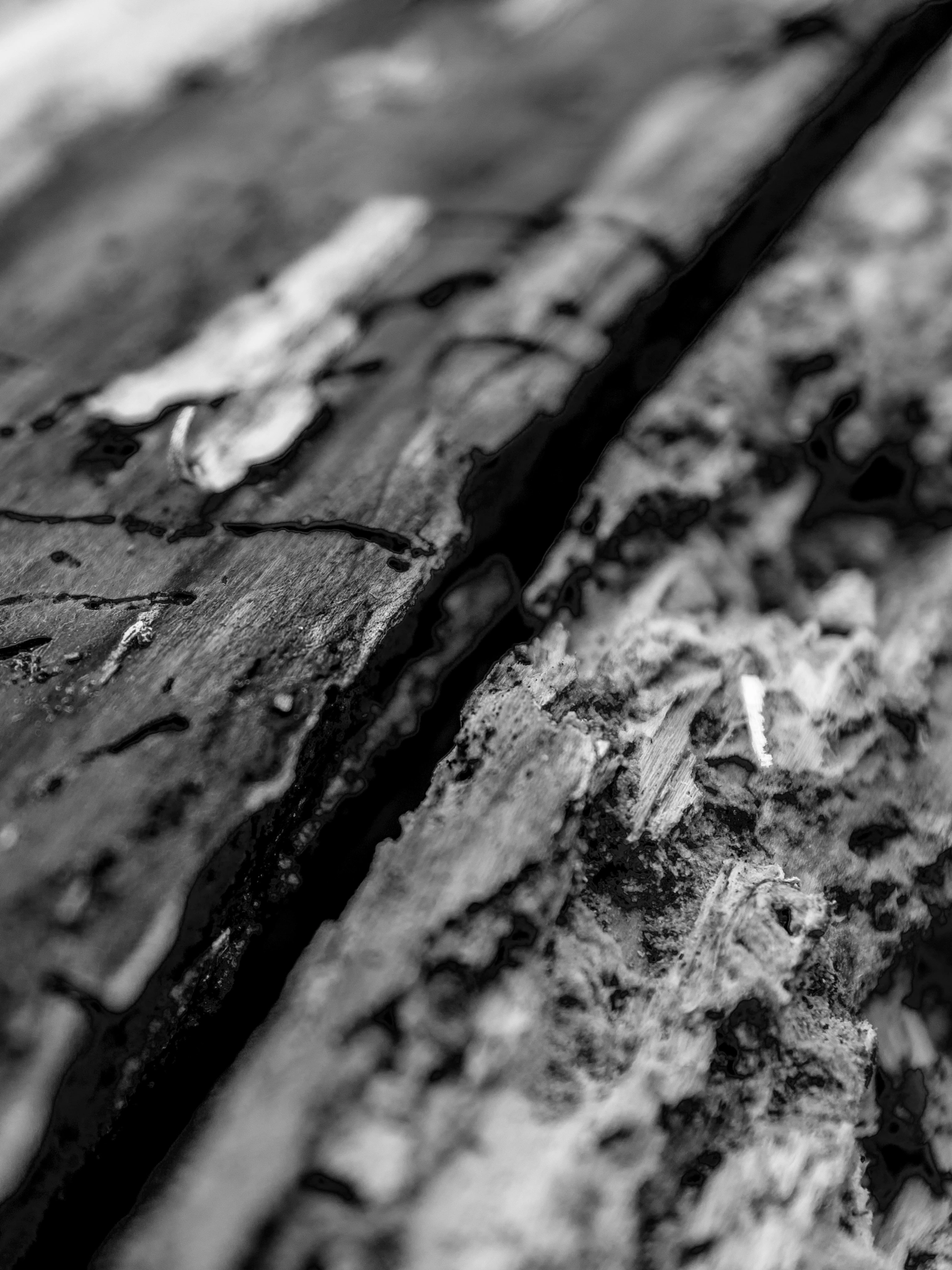 Pentax smc DA* 16-50mm F2.8 ED AL (IF) SDM sample photo. Old wood structures photography