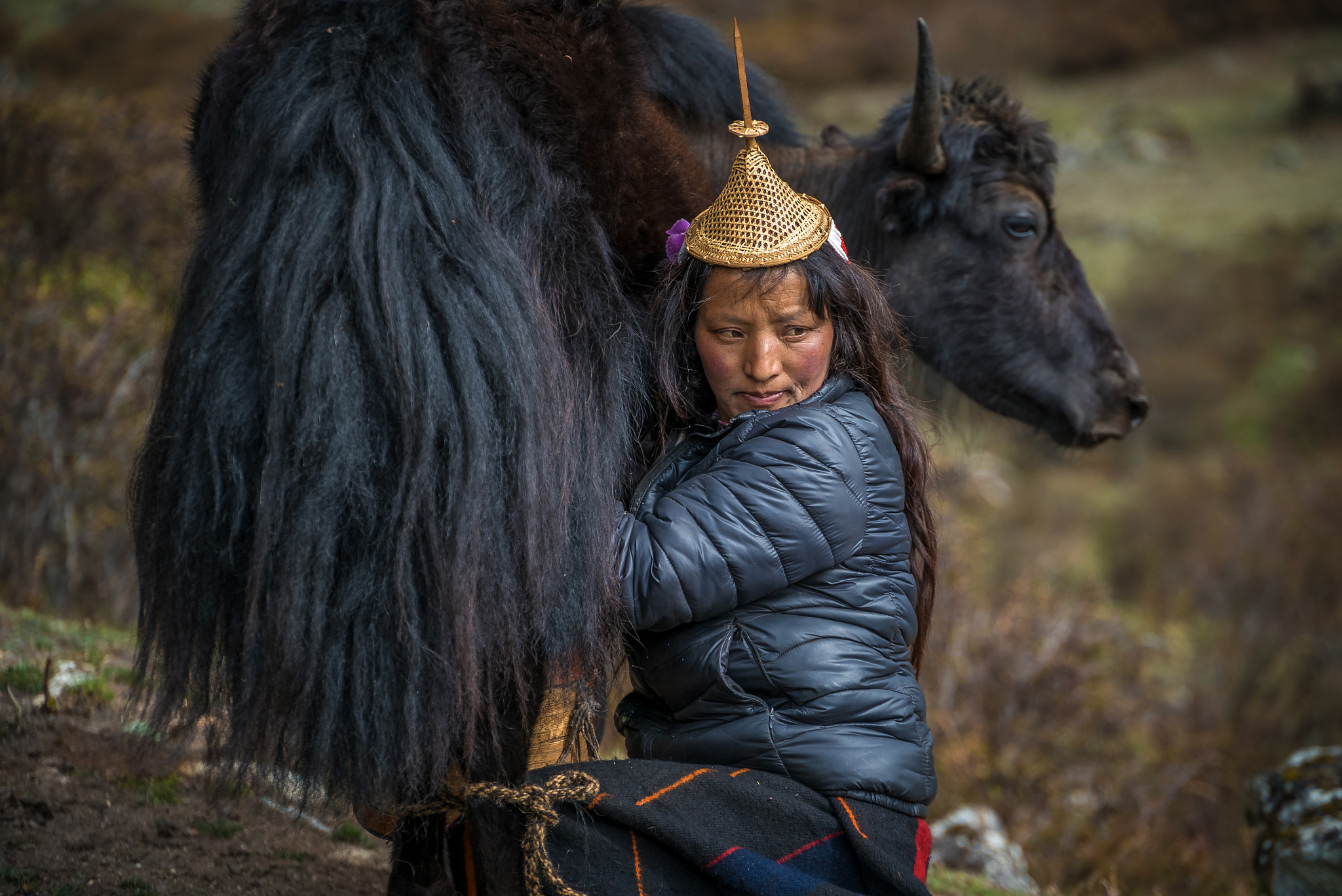 Sony FE PZ 28-135mm F4 G OSS sample photo. Bhutanese woman milking yak photography