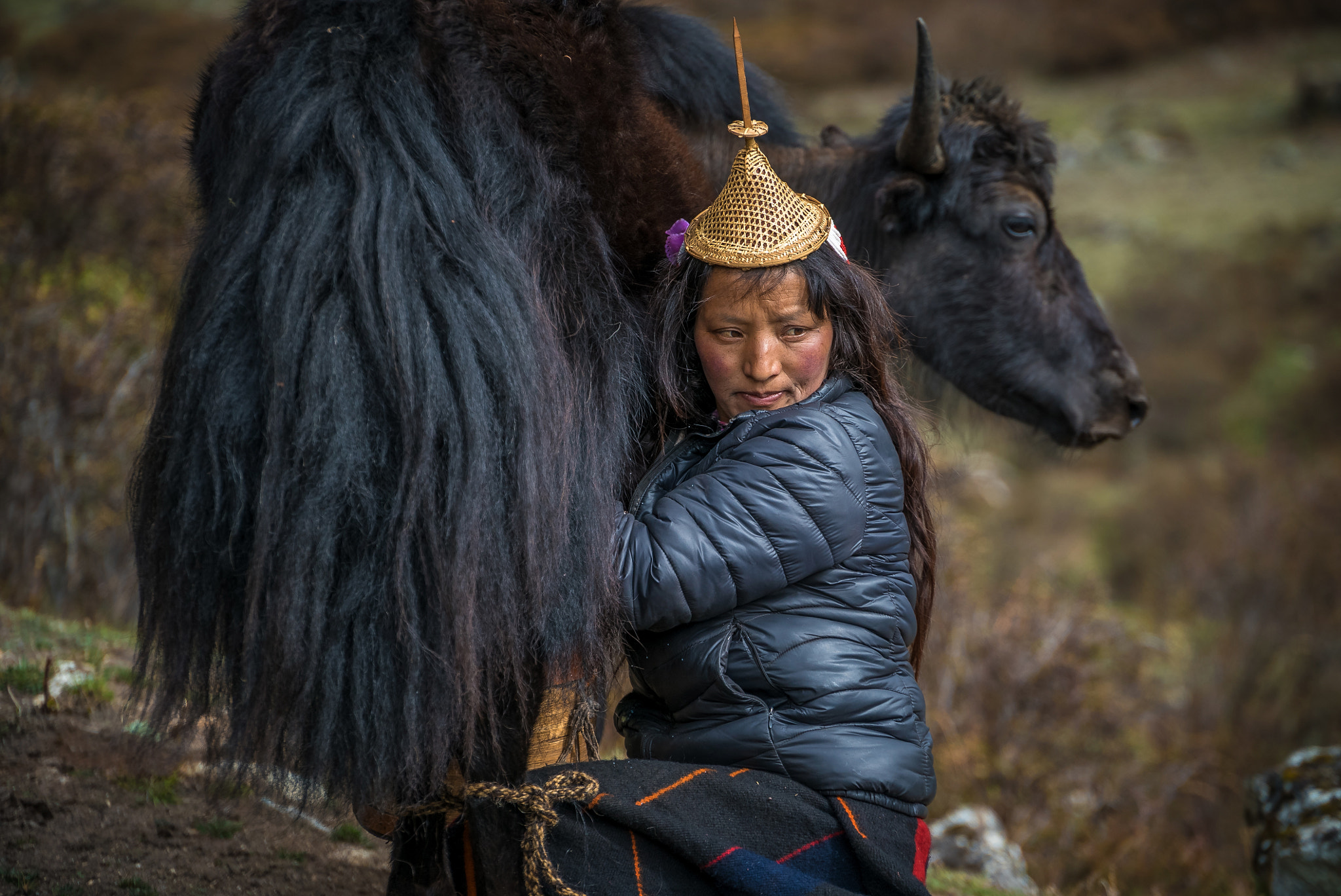 Sony a7S II + Sony FE PZ 28-135mm F4 G OSS sample photo. Bhutanese woman milking yak photography