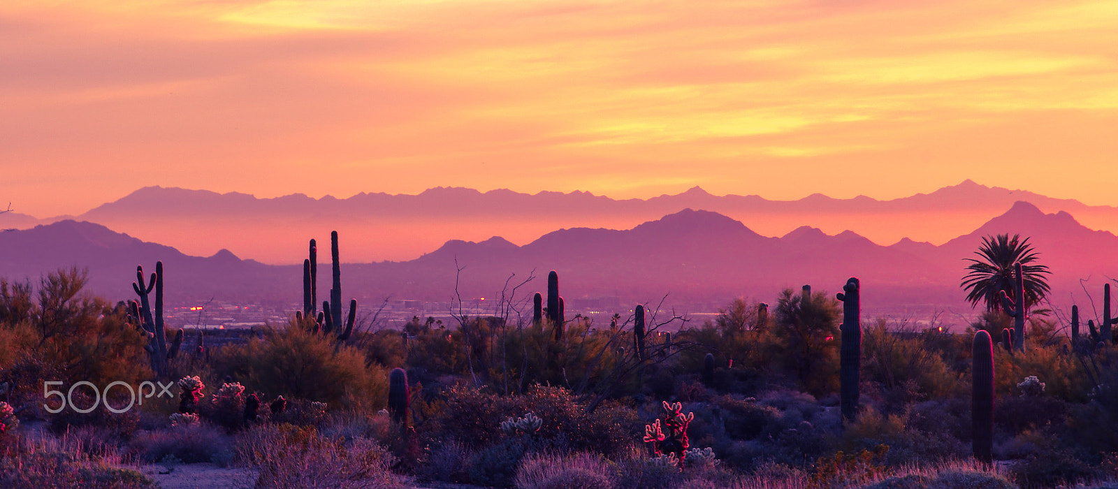Nikon D500 sample photo. Desert dawn photography