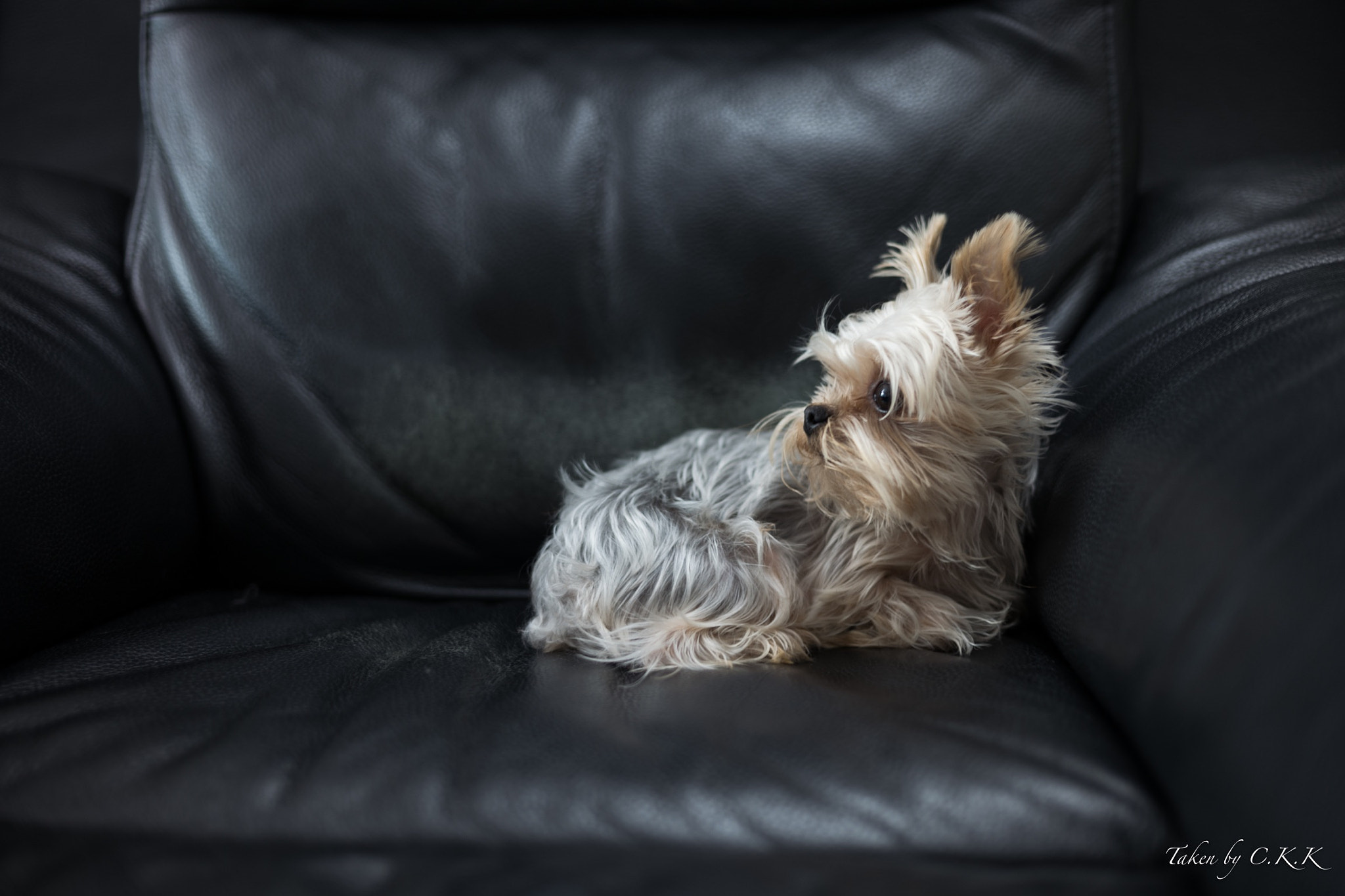 Leica Summilux-M 35mm F1.4 ASPH sample photo