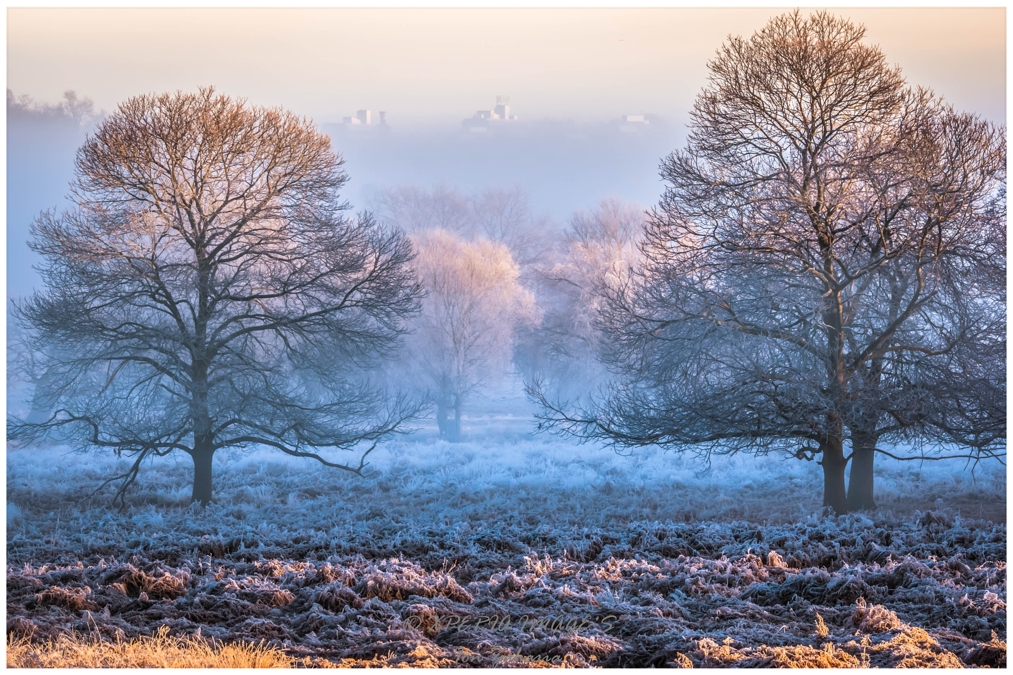 Sony 70-300mm F4.5-5.6 G SSM sample photo. Richmond park,upon thames photography