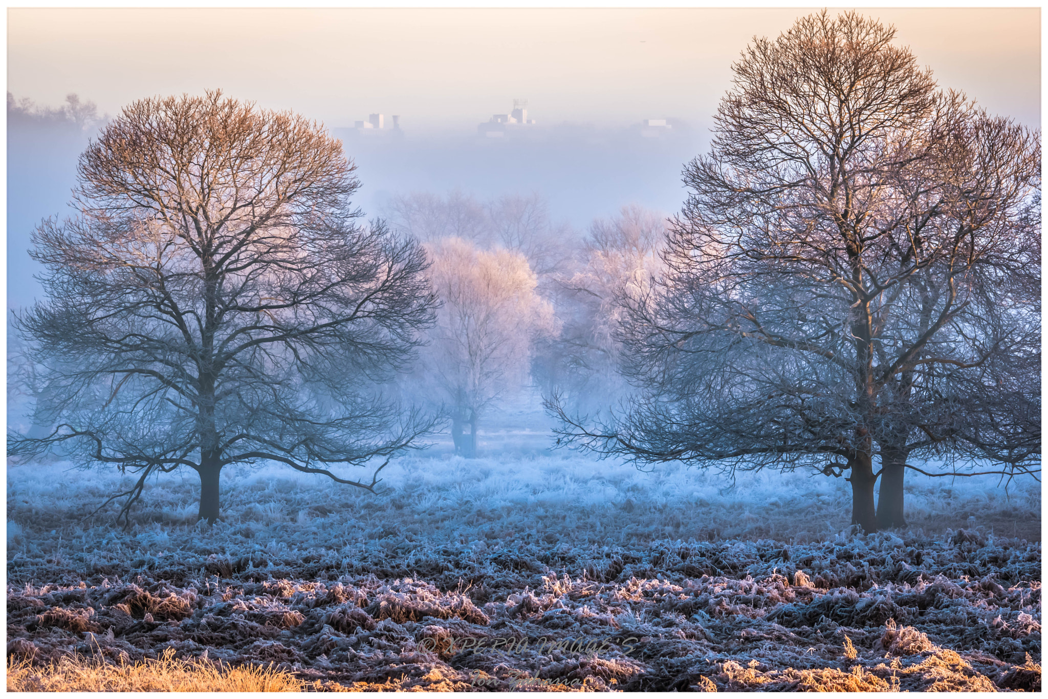 Sony ILCA-77M2 sample photo. Richmond park,upon thames photography