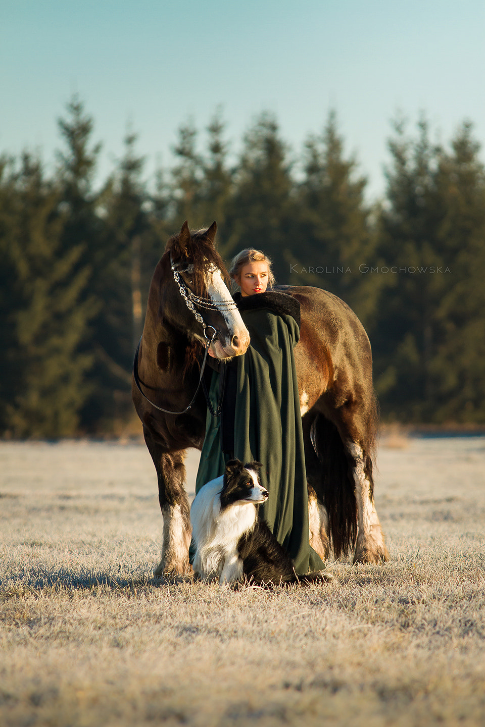 Sigma 70-200mm F2.8 EX DG OS HSM sample photo. The girl and her horse photography