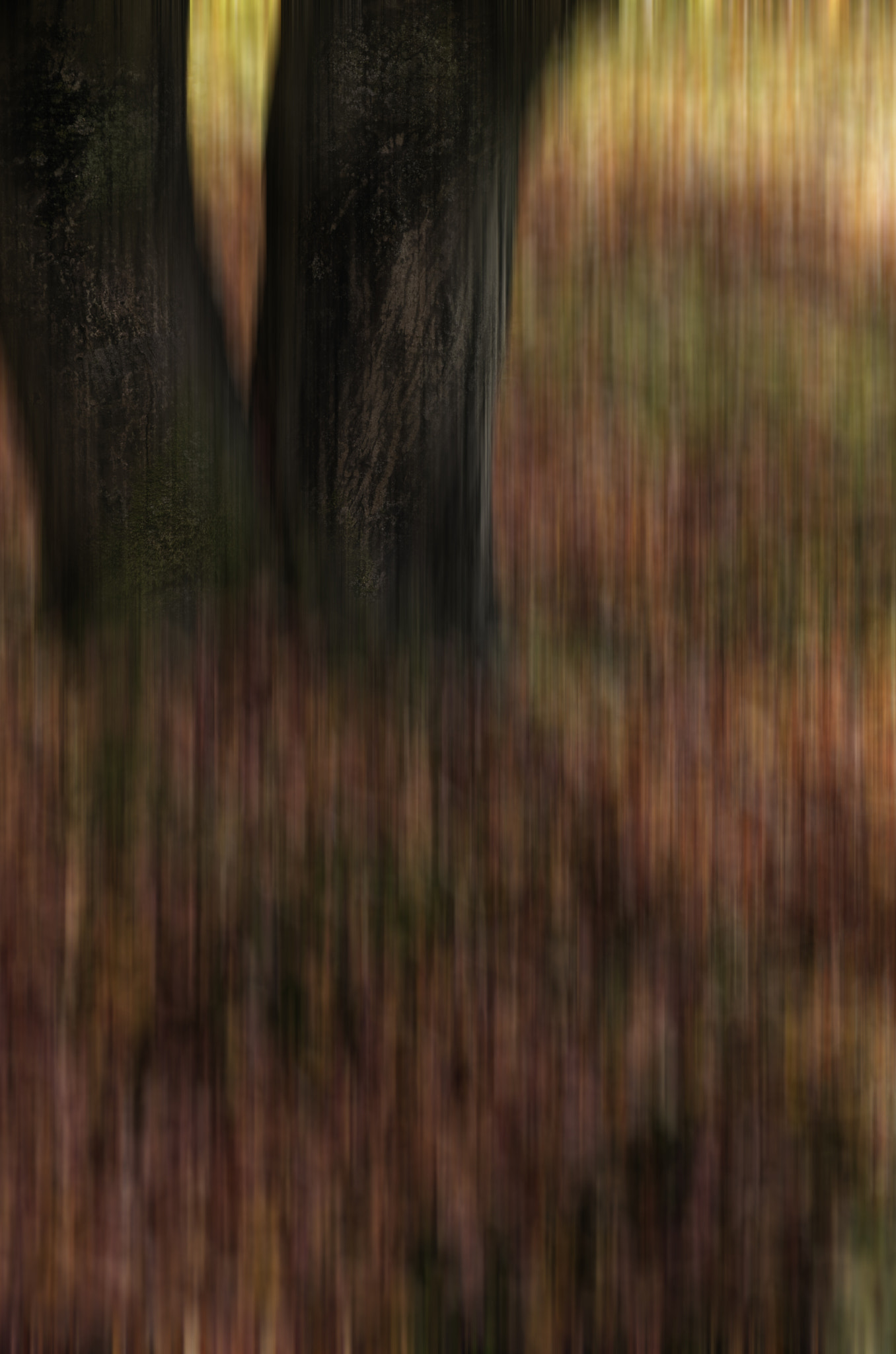 Pentax smc DA 17-70mm F4.0 AL (IF) SDM sample photo. Automne photography