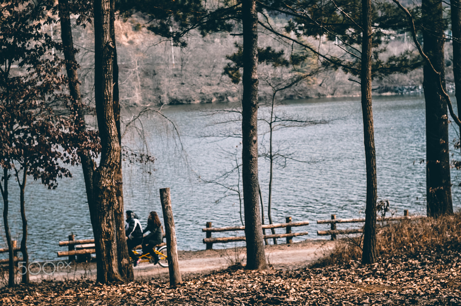 Nikon D5000 + Nikon AF Nikkor 50mm F1.8D sample photo. Korea's vibes photography