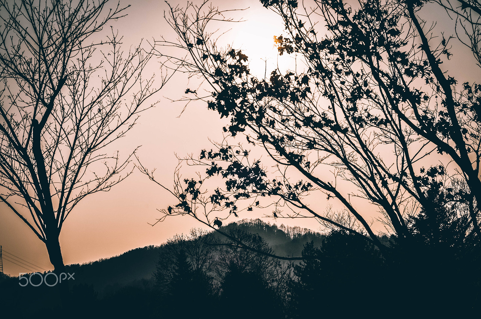 Nikon AF Nikkor 50mm F1.8D sample photo. Korea's vibes photography