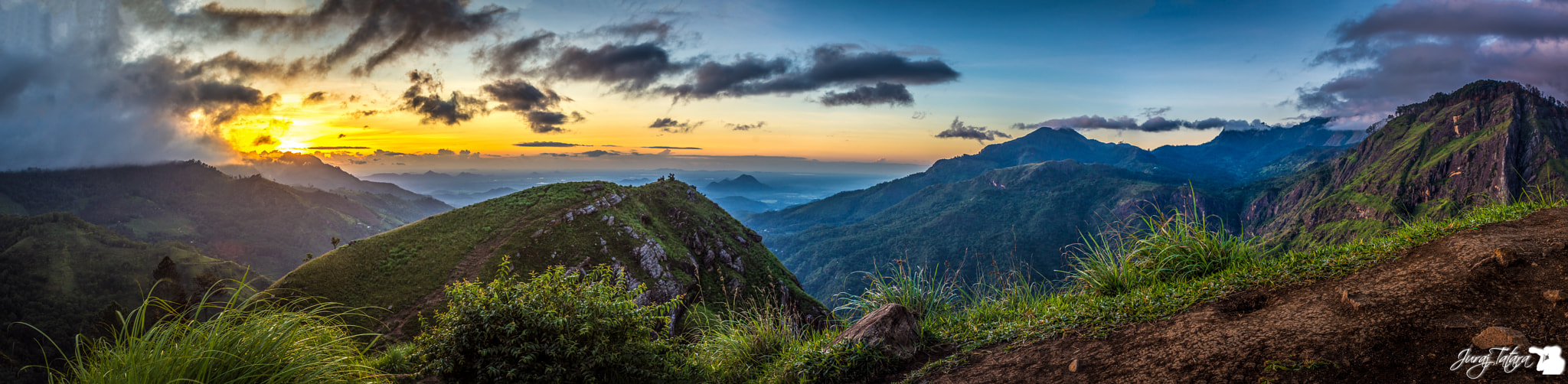 Tamron SP 24-70mm F2.8 Di VC USD sample photo. Sri lanka photography