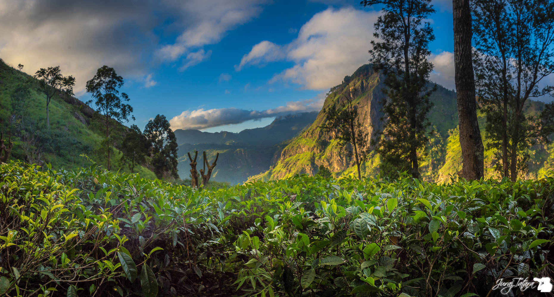 Tamron SP 24-70mm F2.8 Di VC USD sample photo. Sri lanka photography