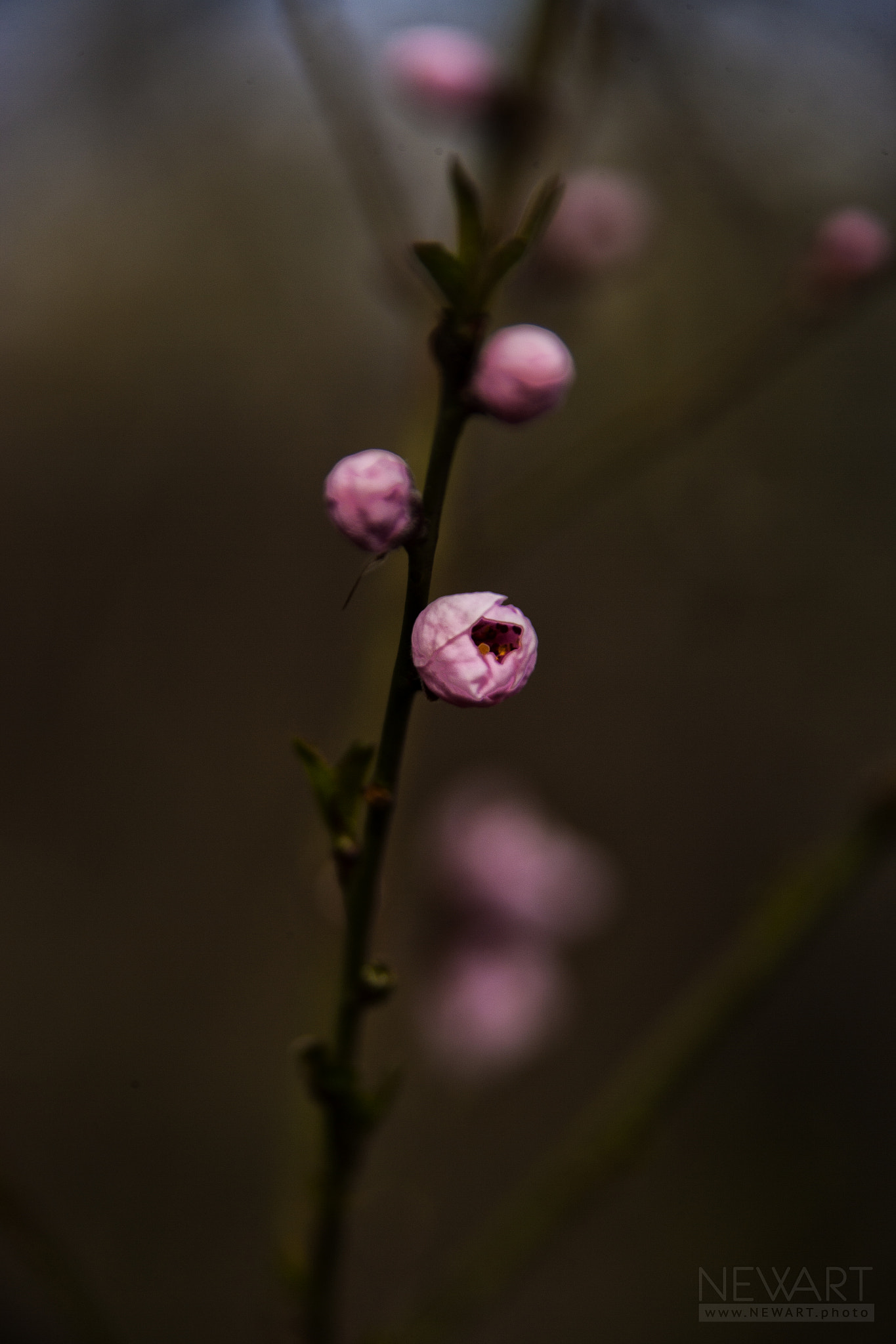 Canon EOS-1Ds Mark II sample photo. 0093 photography