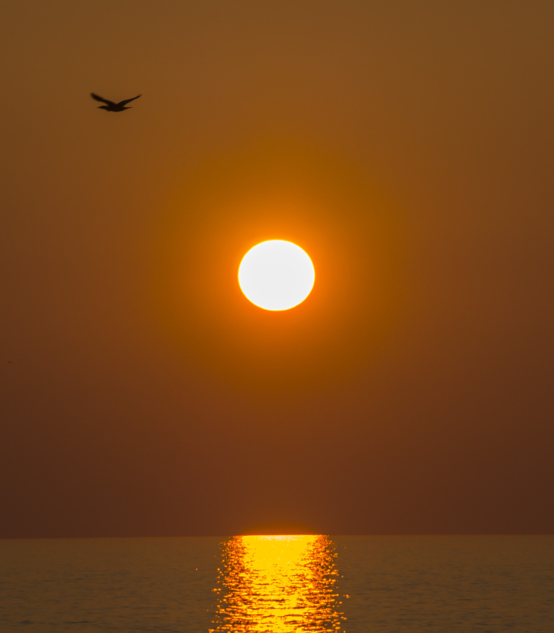 Sony DT 18-200mm F3.5-6.3 sample photo. Dsc photography