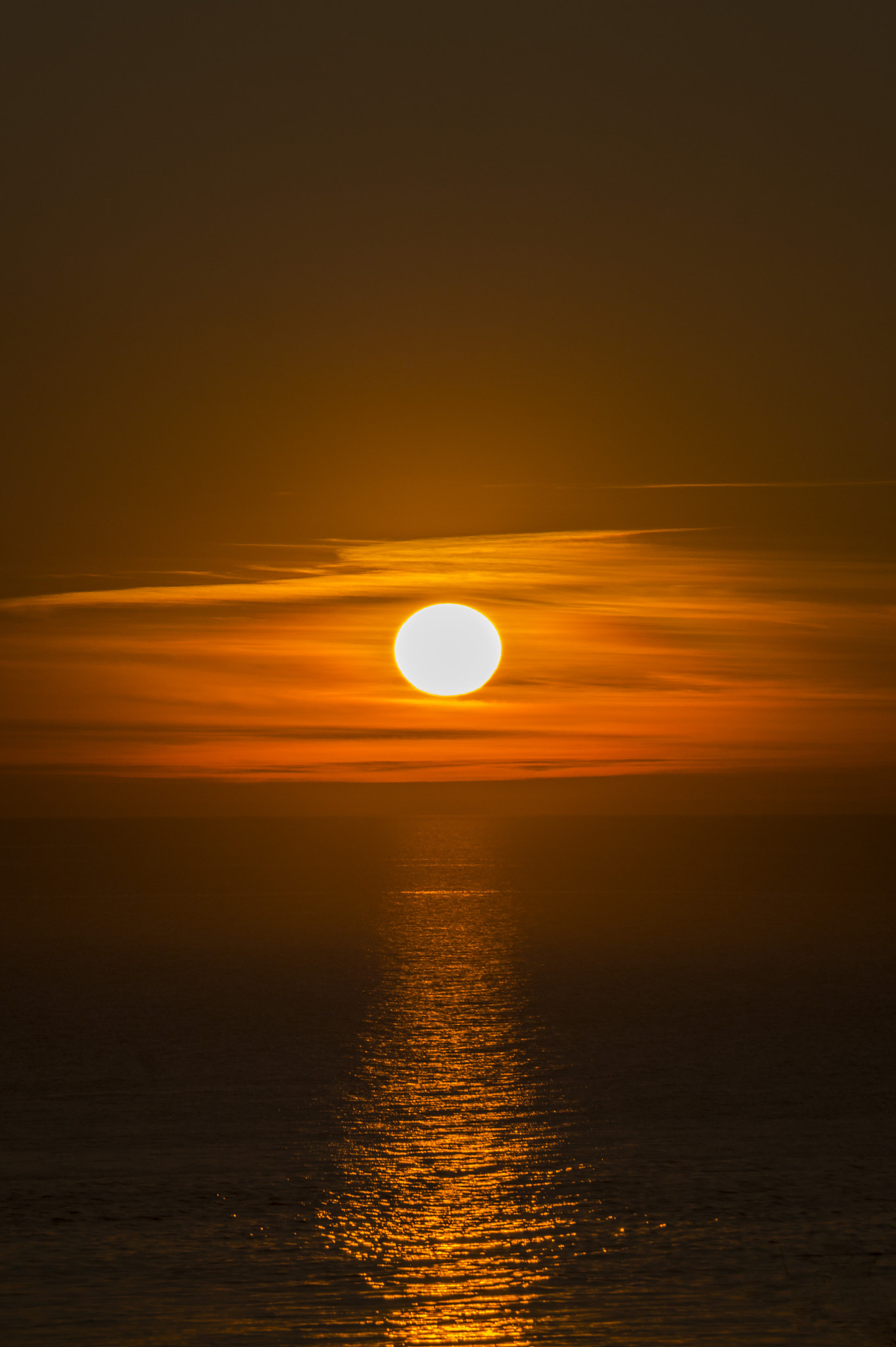 Sony DT 18-200mm F3.5-6.3 sample photo. Dsc photography