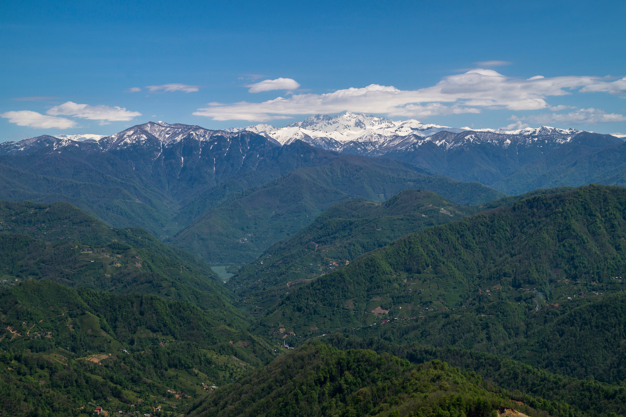 Sony DT 18-200mm F3.5-6.3 sample photo. Dsc photography