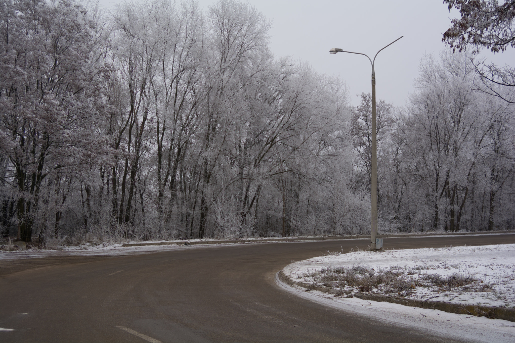 AF Zoom-Nikkor 28-70mm f/3.5-4.5D sample photo. Turn right photography