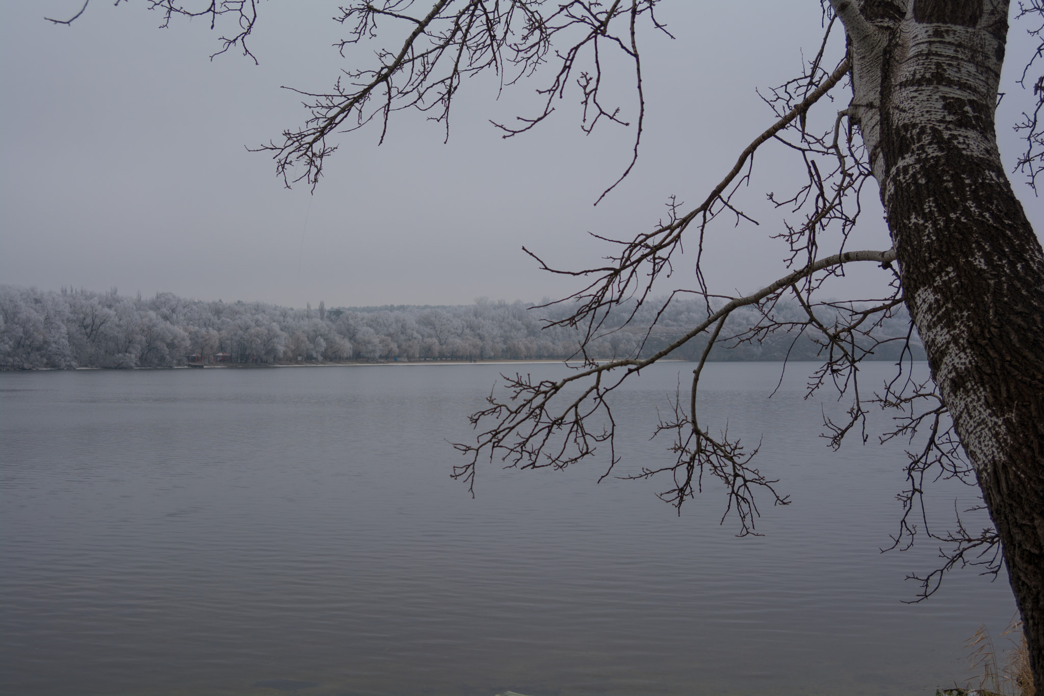 AF Zoom-Nikkor 28-70mm f/3.5-4.5D sample photo. Winter walking photography