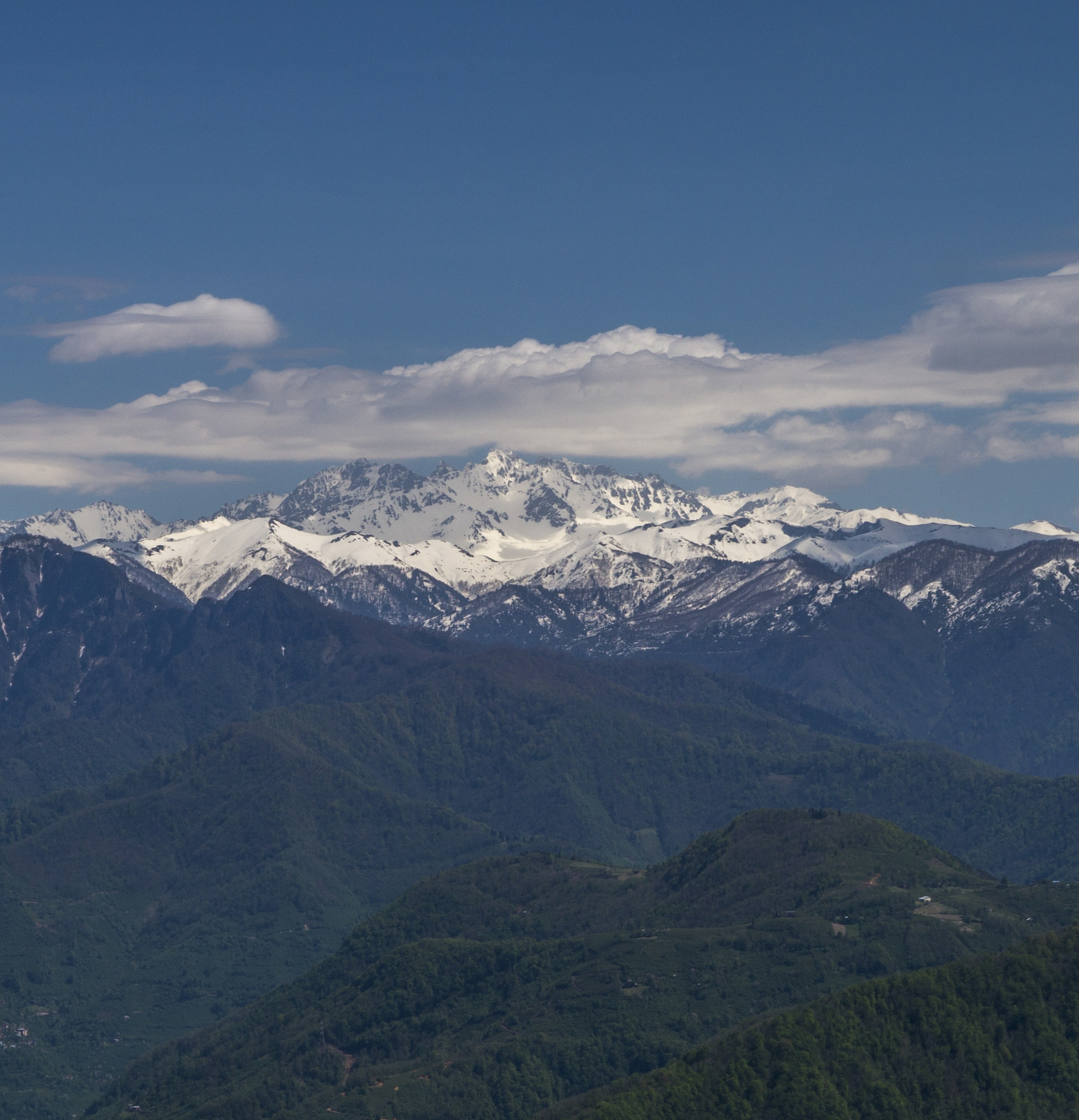 Sony DT 18-200mm F3.5-6.3 sample photo. Dsc photography