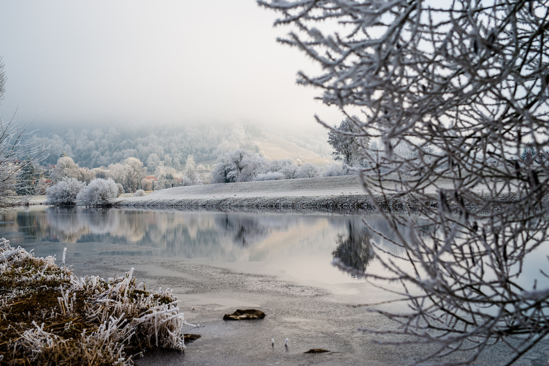 Nikon D800E + Sigma 50mm F1.4 DG HSM Art sample photo. Frost at kinzig-river near gengenbach photography