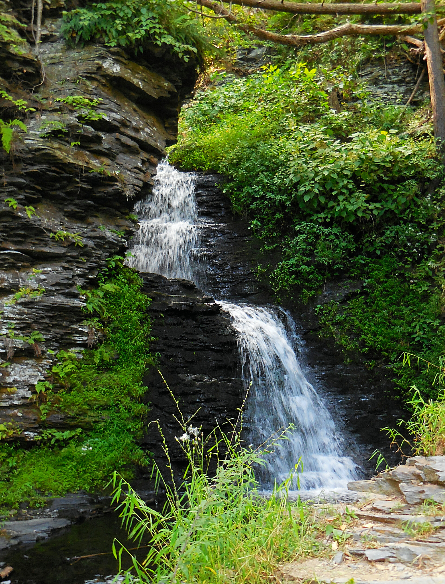 Nikon Coolpix S6800 sample photo. Poconos pa waterfall photography