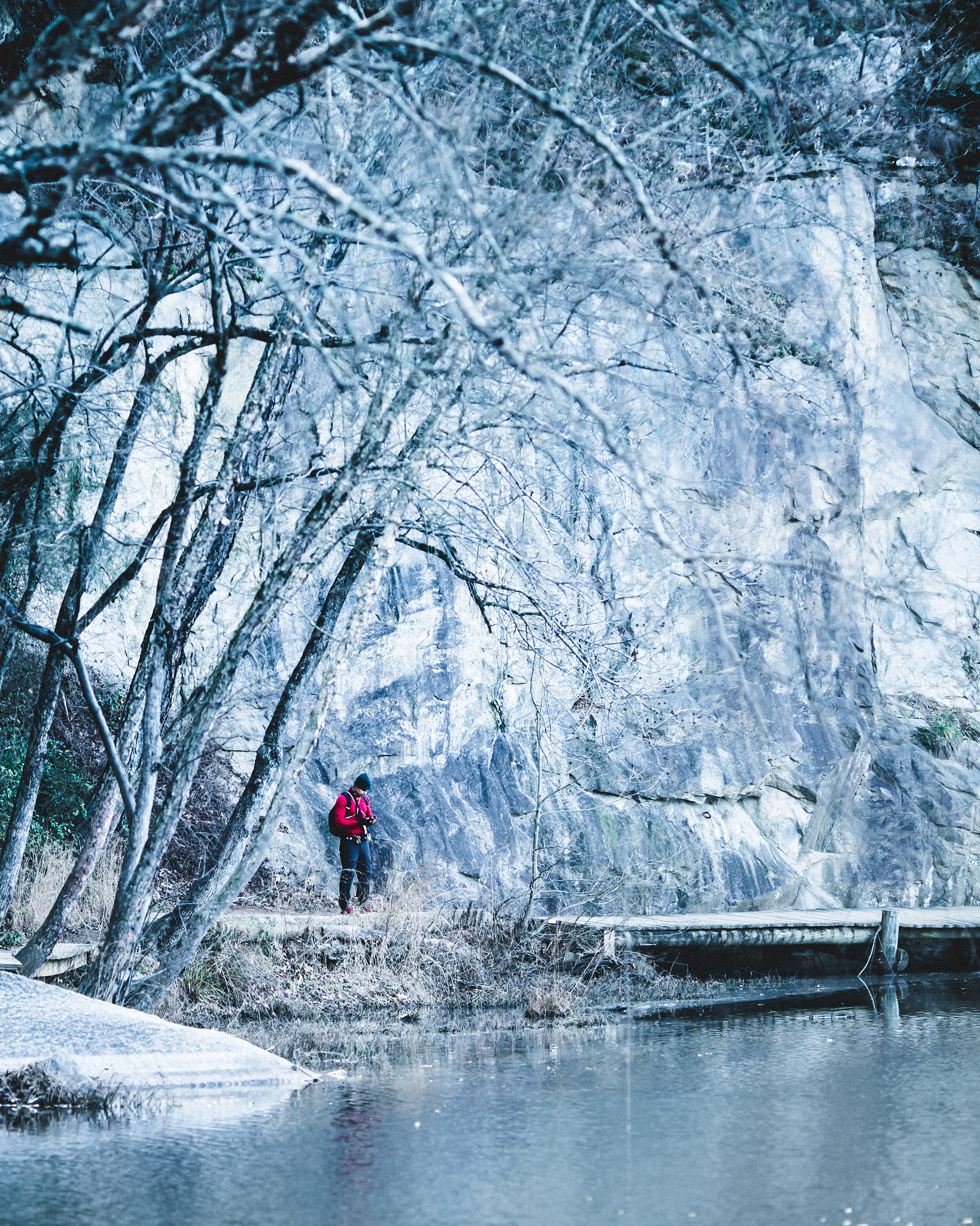 Sony a7R II + Canon EF 135mm F2L USM sample photo. Red x snow photography