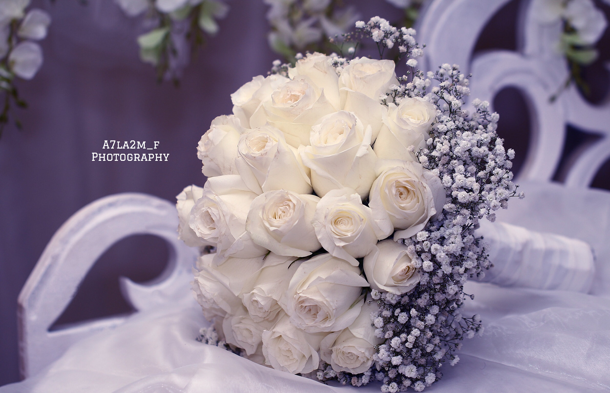 Canon EF 100mm F2.8L Macro IS USM sample photo
