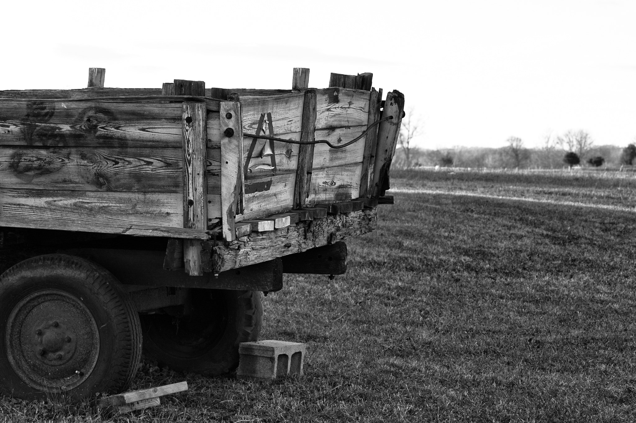 Nikon D50 sample photo. Cart photography