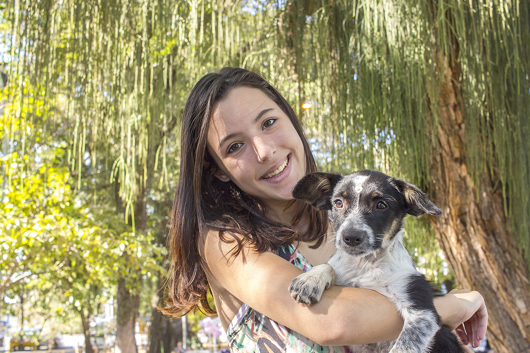 Canon EF-S 24mm F2.8 STM sample photo. Adoptions photography