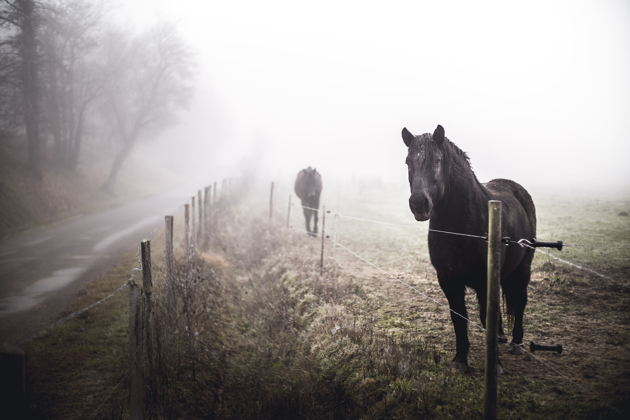 Sony a6000 sample photo. Winter is coming photography