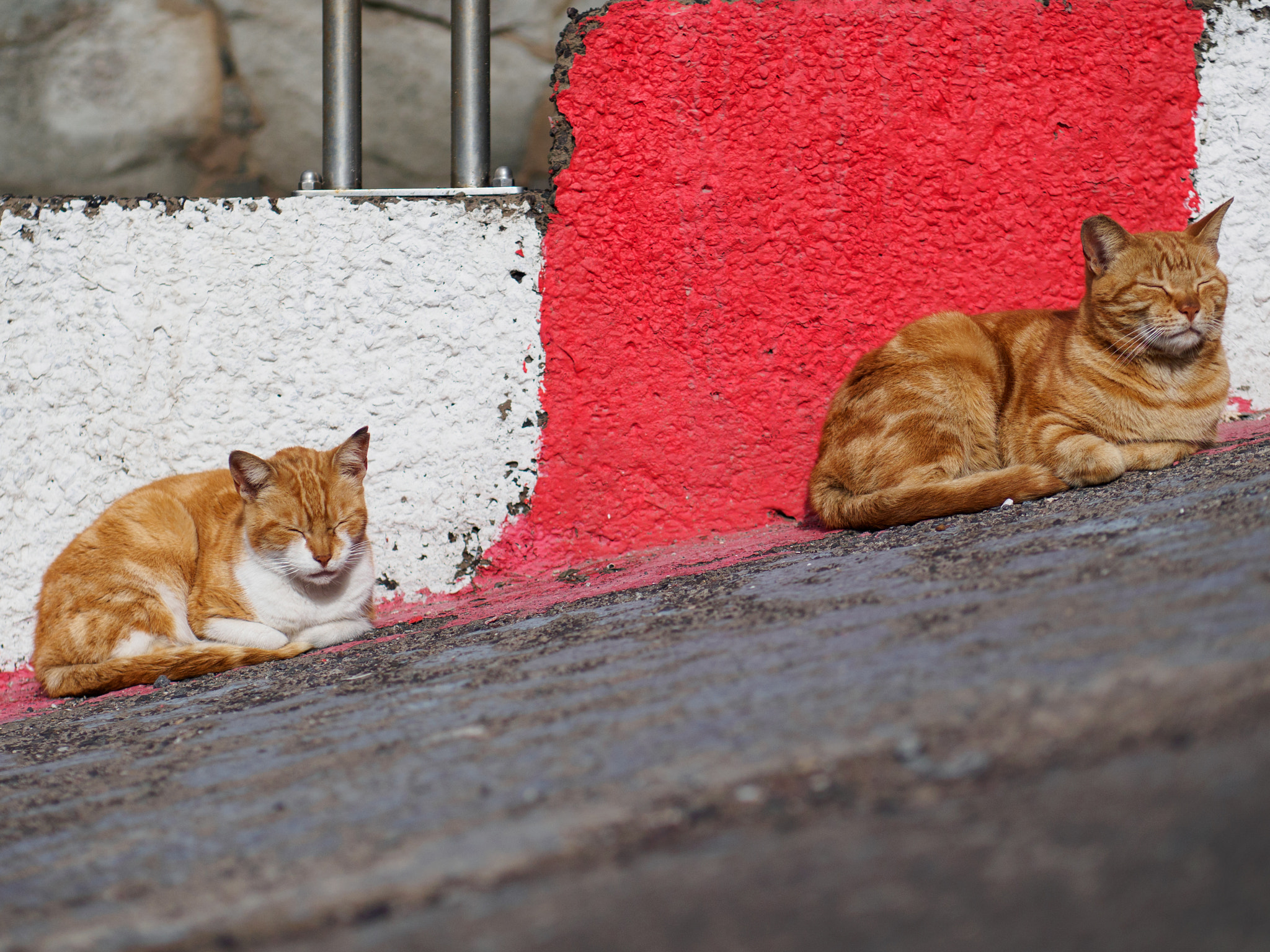 Panasonic Leica DG Nocticron 42.5mm F1.2 ASPH OIS sample photo. Olympus digital camera photography