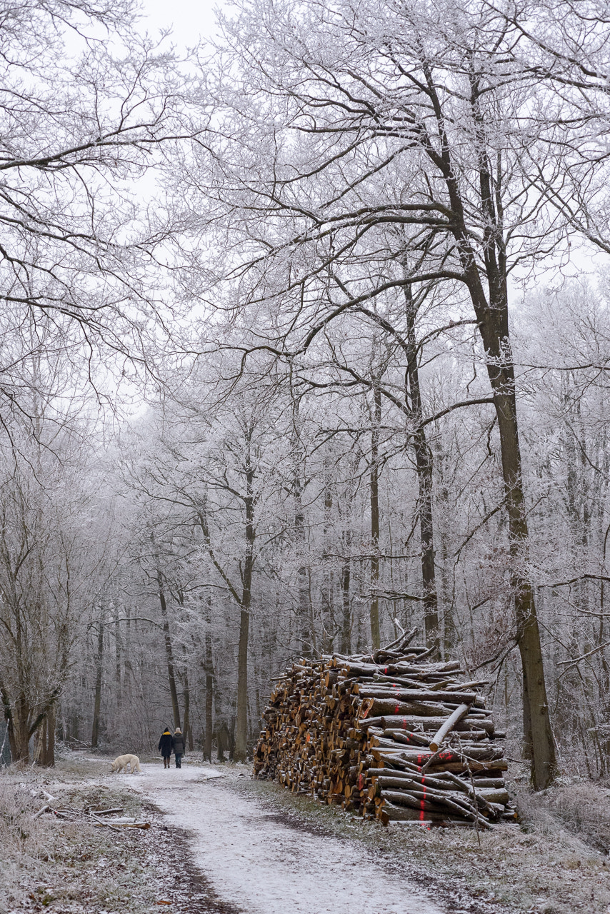 Nikon D800 sample photo. Untitled photography