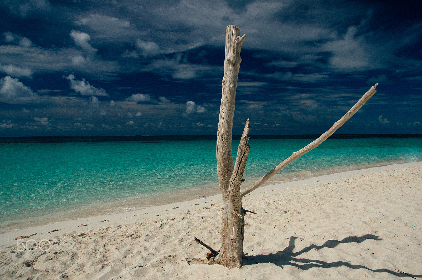 Sony Alpha DSLR-A580 + Tamron SP AF 17-50mm F2.8 XR Di II LD Aspherical (IF) sample photo. Cayo largo photography
