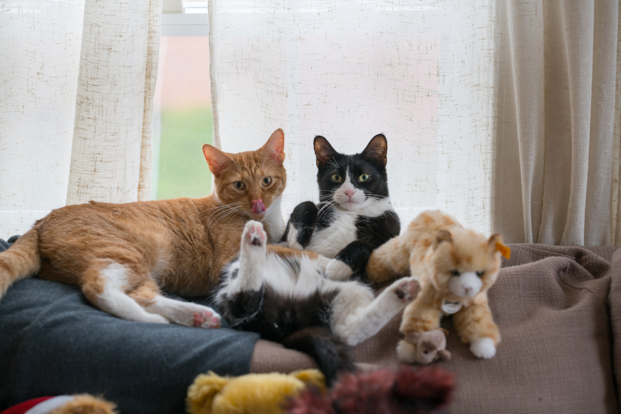 Sony a7R II + ZEISS Otus 85mm F1.4 sample photo. Brotherly love photography