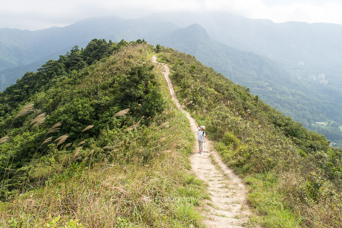 Sony a7 II + Canon EF 85mm F1.2L II USM sample photo. Hiking day. photography