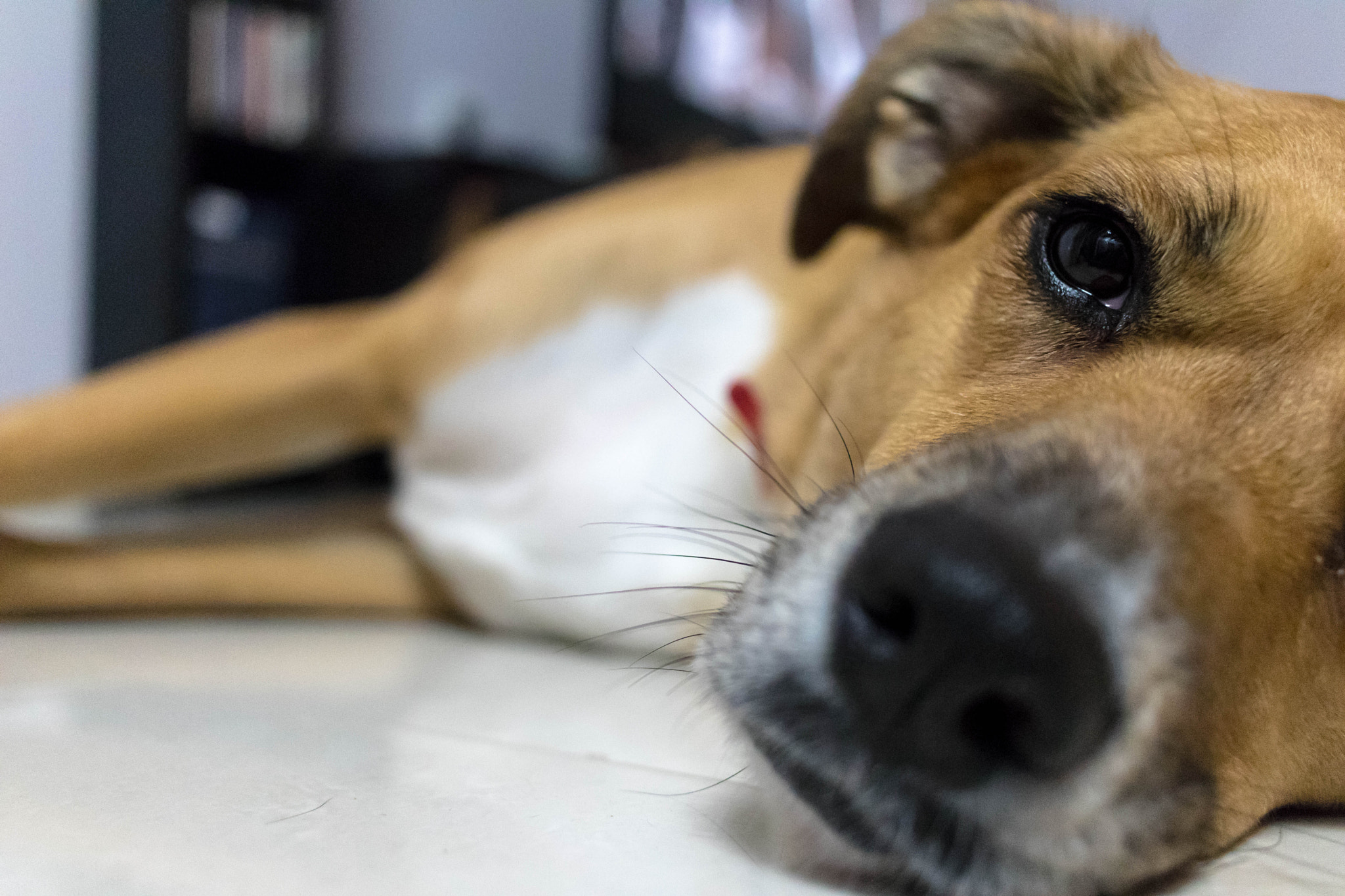 Canon EF-S 24mm F2.8 STM sample photo. Chillin' photography