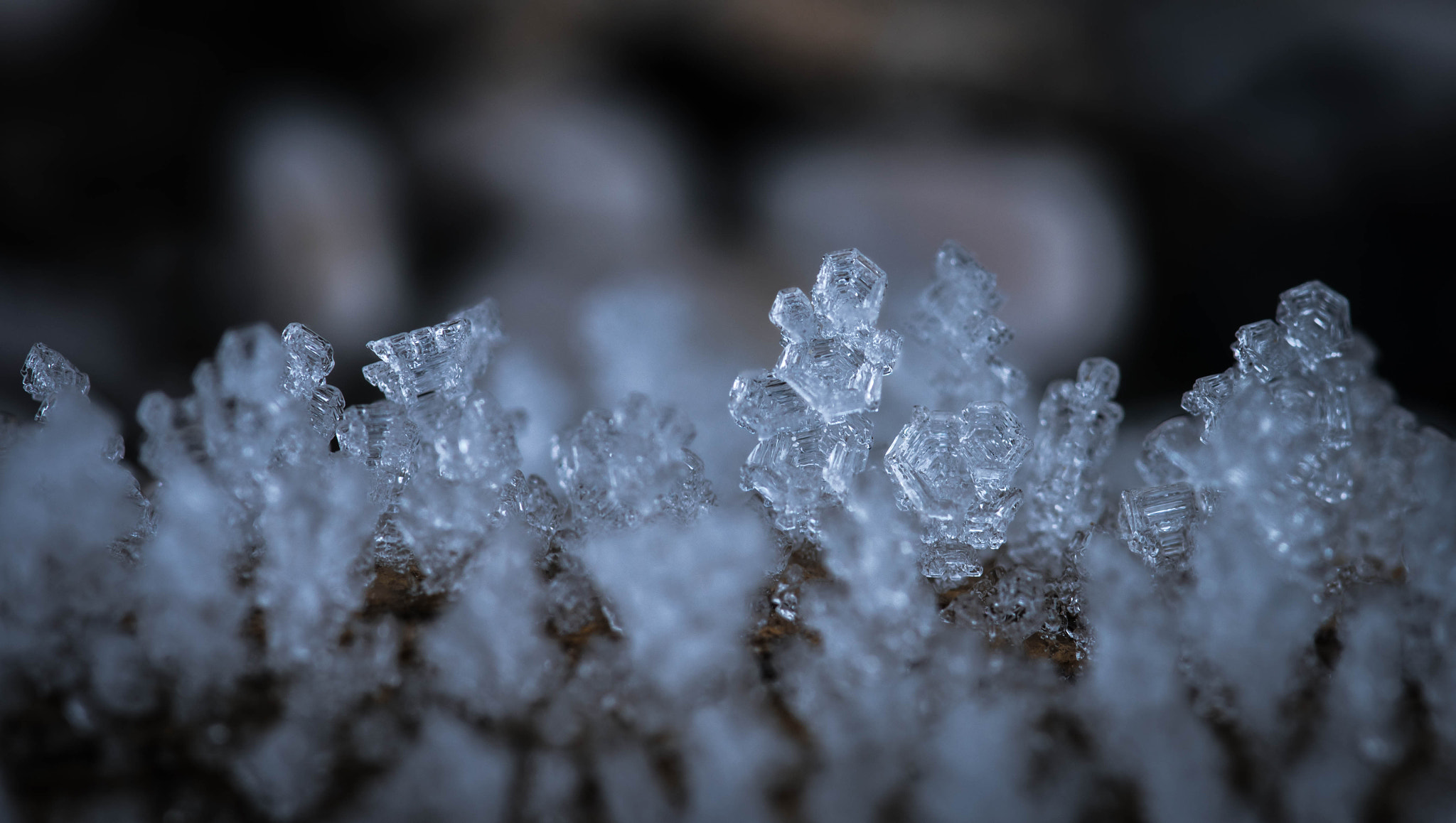 Sony a7R II + 90mm F2.8 Macro SSM sample photo. Ice crystal (von ) photography