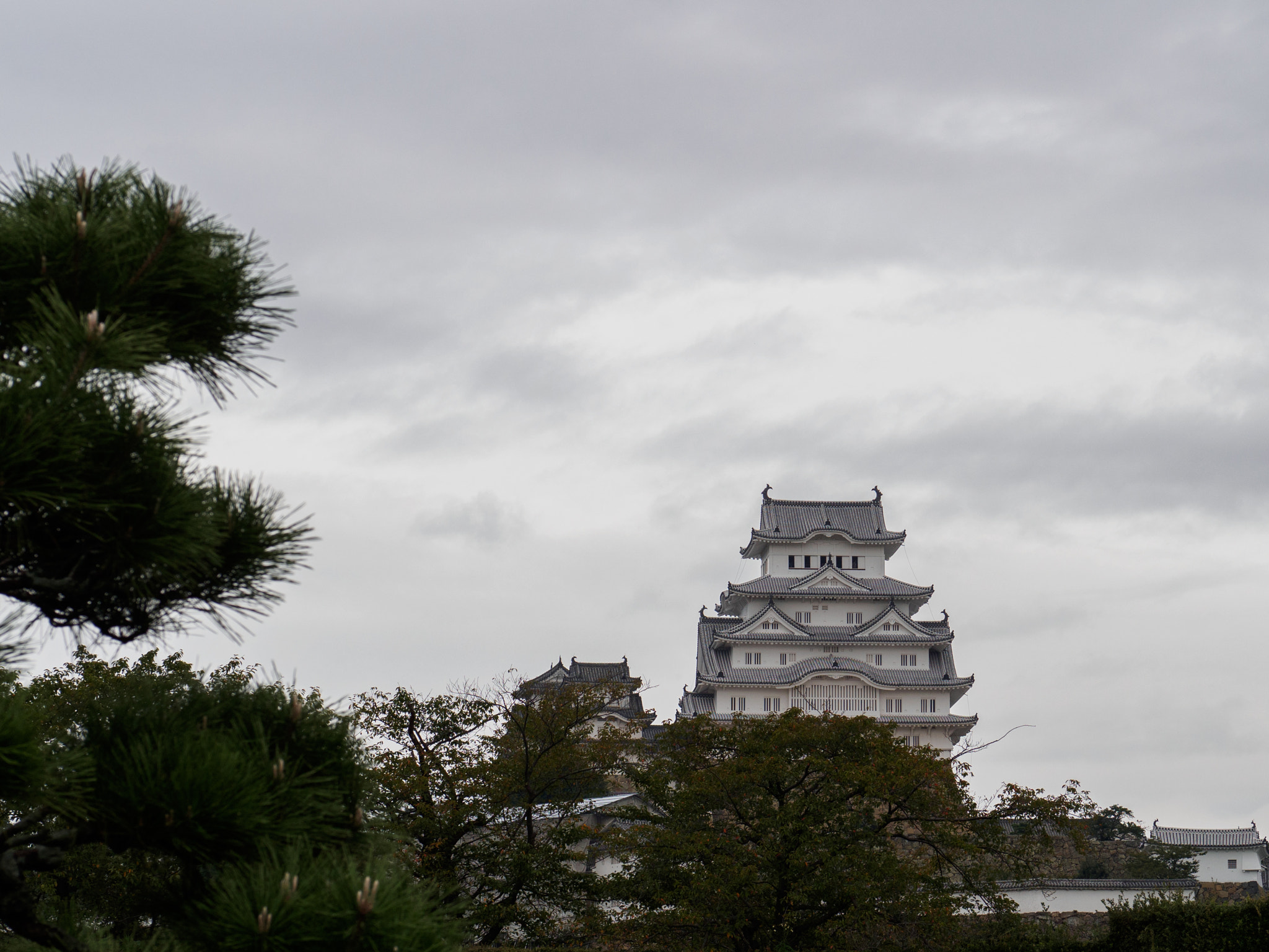 Panasonic Leica DG Nocticron 42.5mm F1.2 ASPH OIS sample photo. Olympus digital camera photography