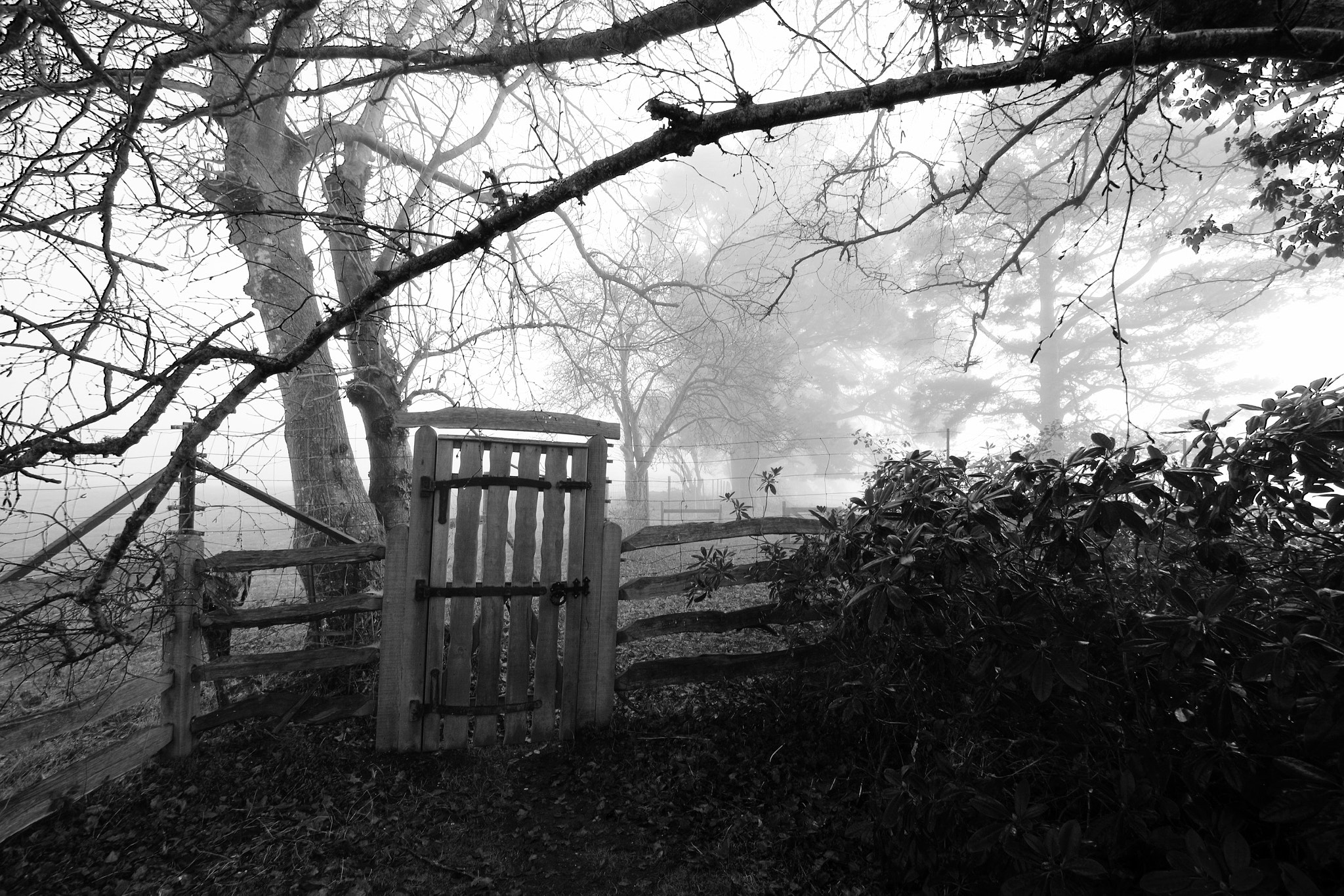 Pentax K-70 sample photo. Winter's gate photography