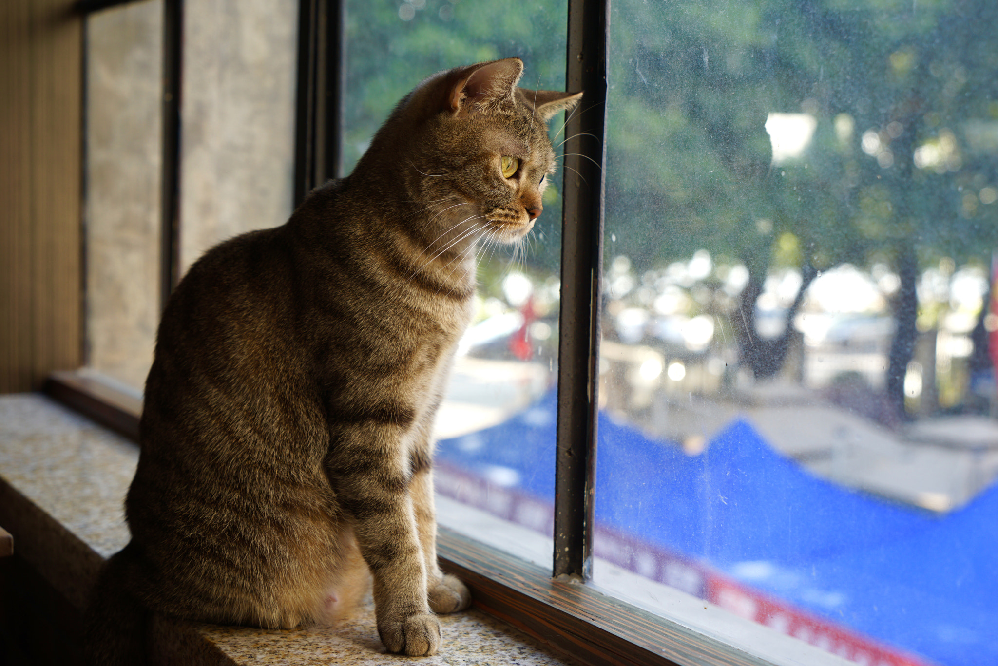 Sony a7R + Sony Vario Tessar T* FE 24-70mm F4 ZA OSS sample photo. 渴望 photography
