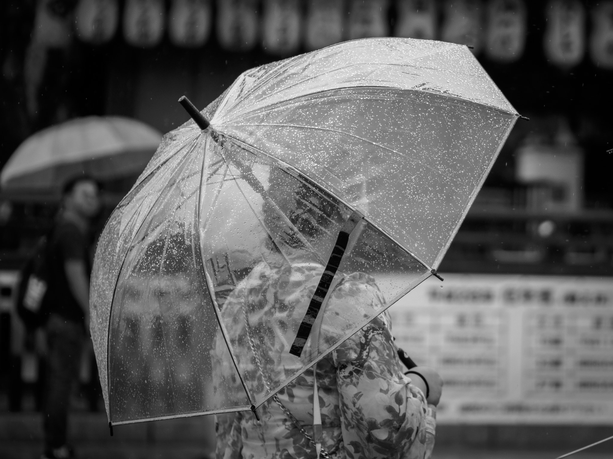 Panasonic Leica DG Nocticron 42.5mm F1.2 ASPH OIS sample photo. Olympus digital camera photography