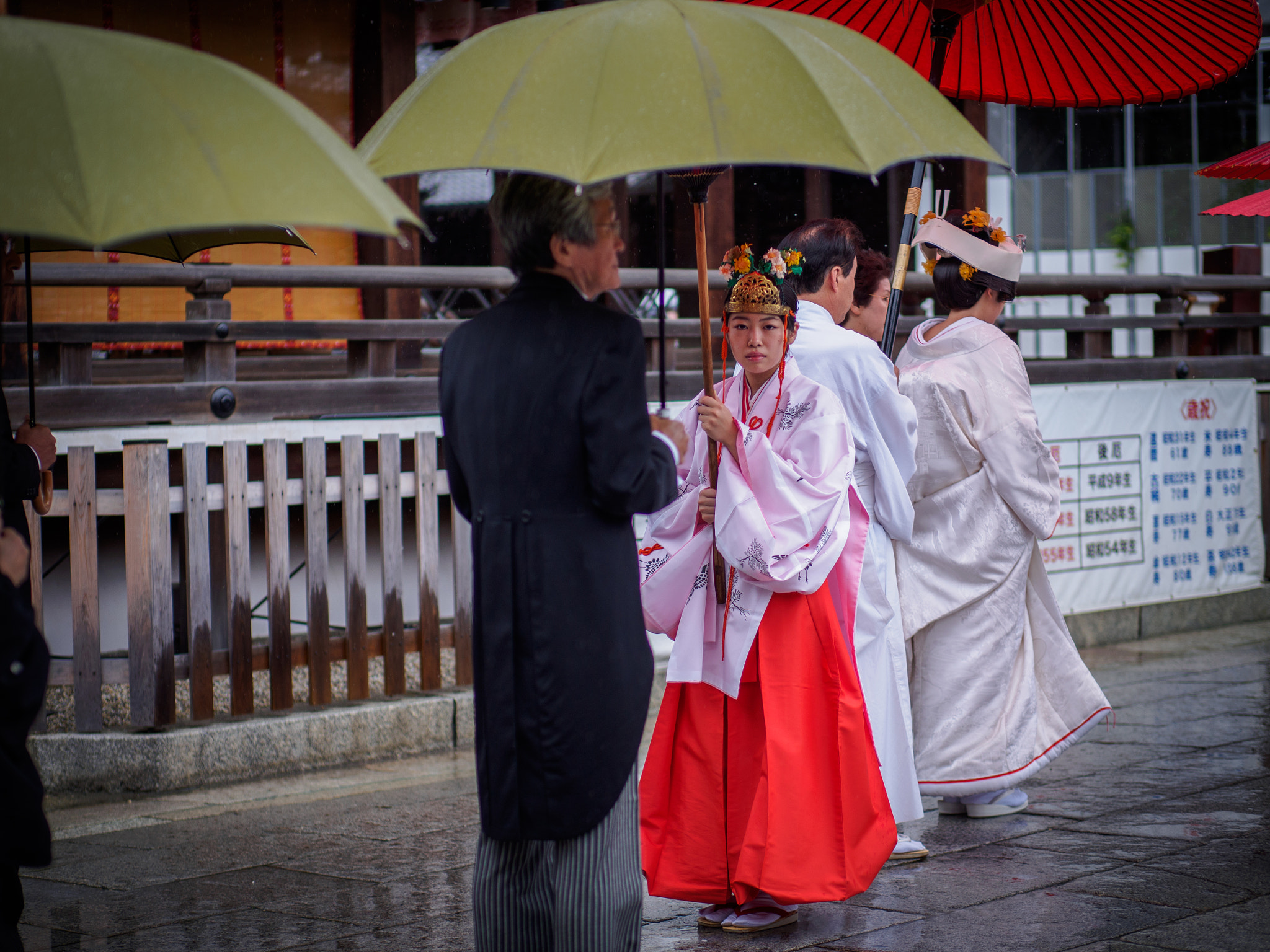 Panasonic Leica DG Nocticron 42.5mm F1.2 ASPH OIS sample photo. Olympus digital camera photography