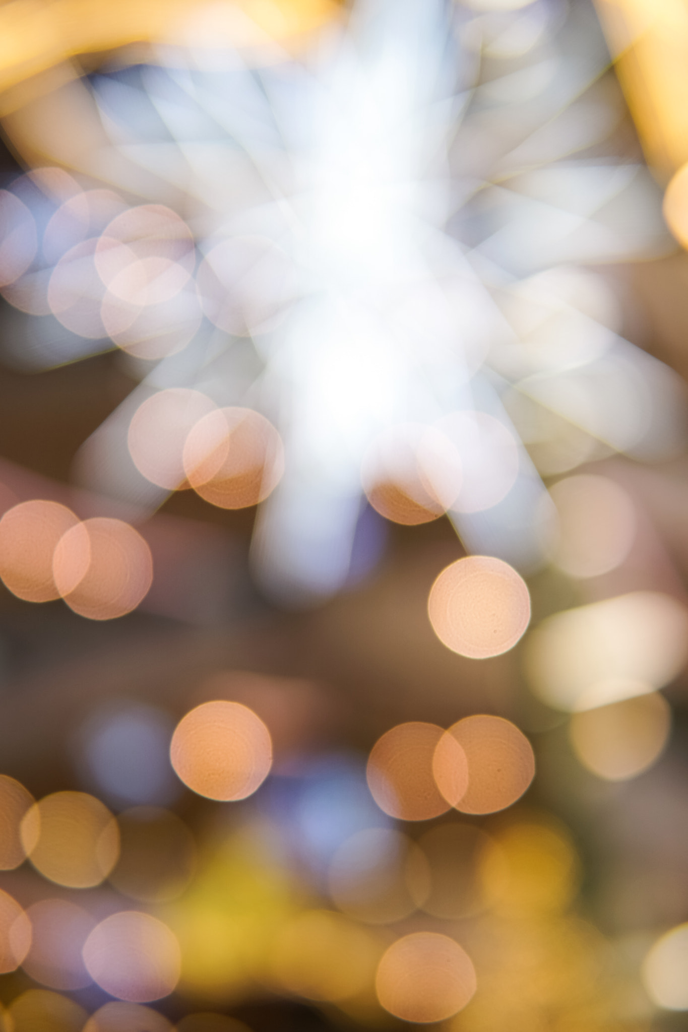 Sigma 30mm F1.4 DC DN | C sample photo. Christmas dream photography