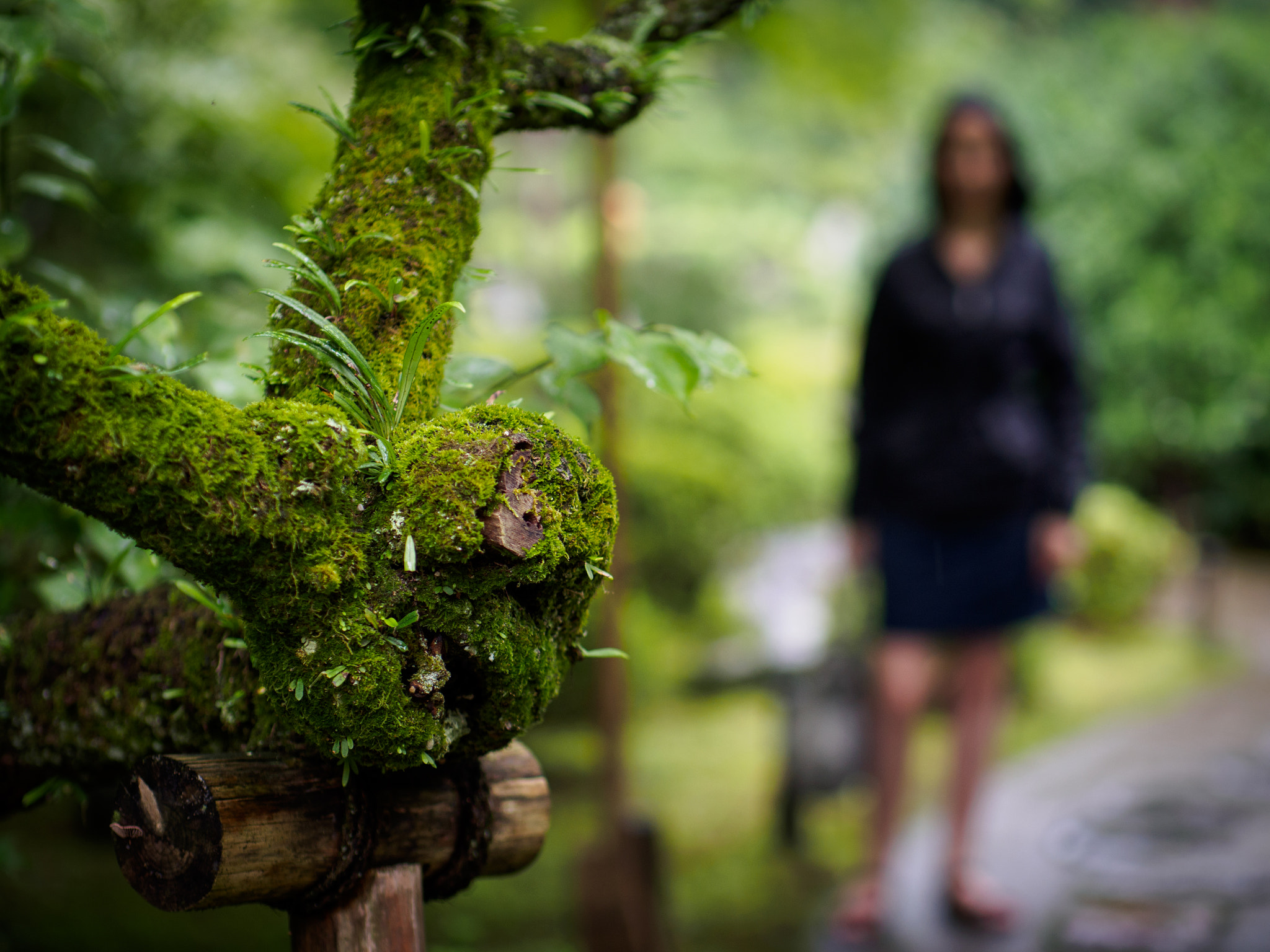 Panasonic Leica DG Nocticron 42.5mm F1.2 ASPH OIS sample photo. Olympus digital camera photography