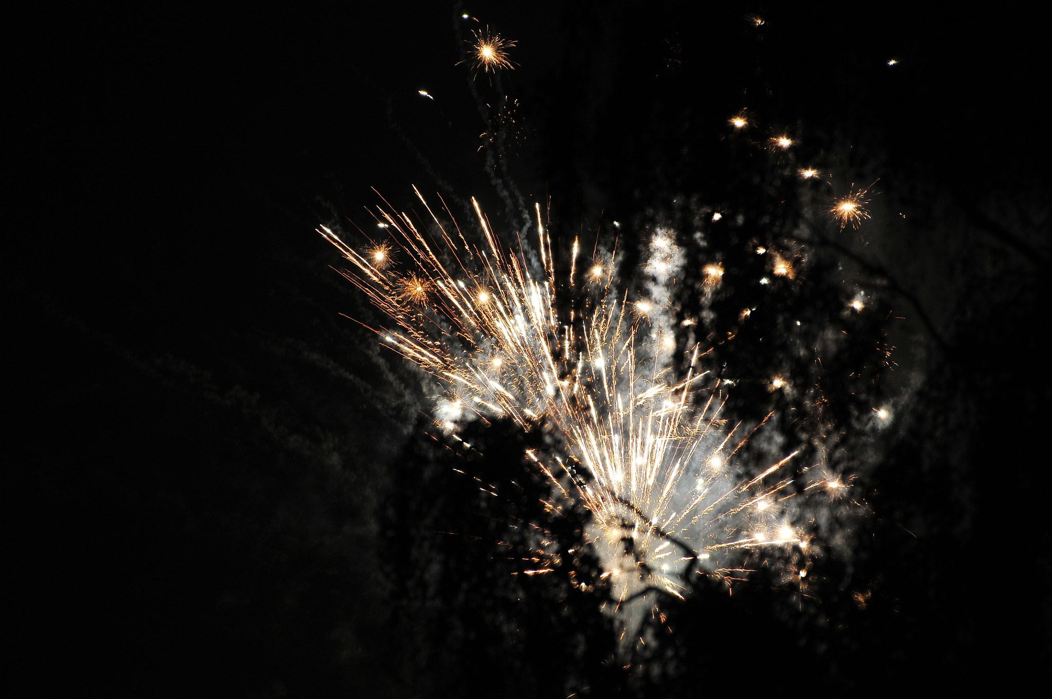 Nikon D300S sample photo. Fireworks photography