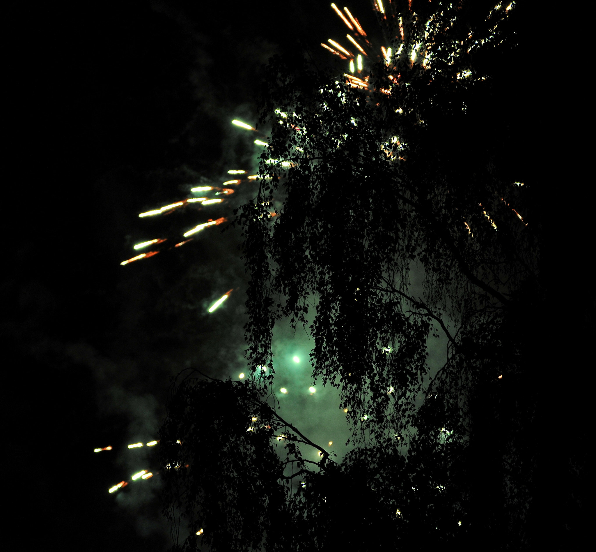 Nikon D300S sample photo. Fireworks photography