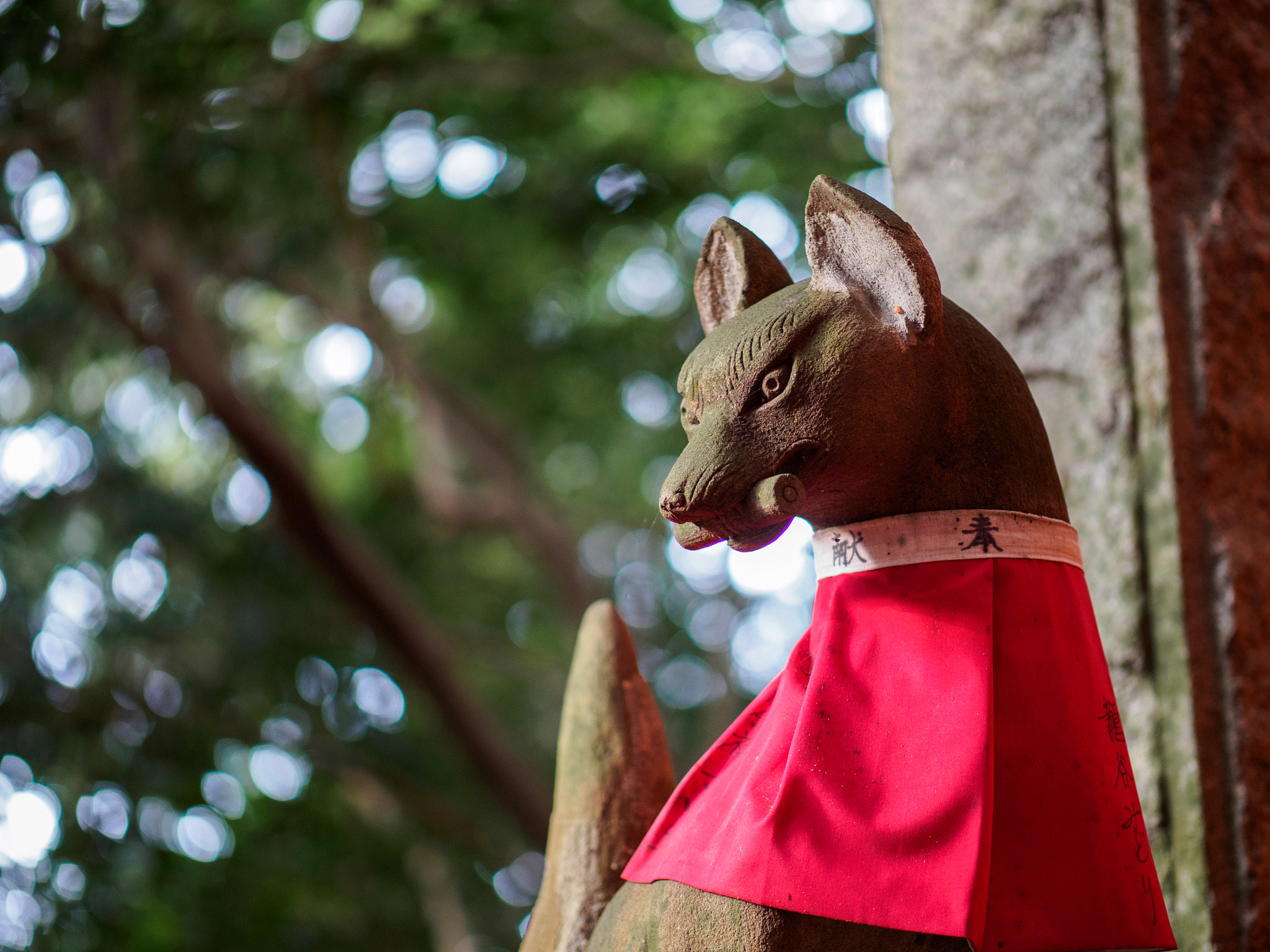 Panasonic Leica DG Nocticron 42.5mm F1.2 ASPH OIS sample photo. Olympus digital camera photography