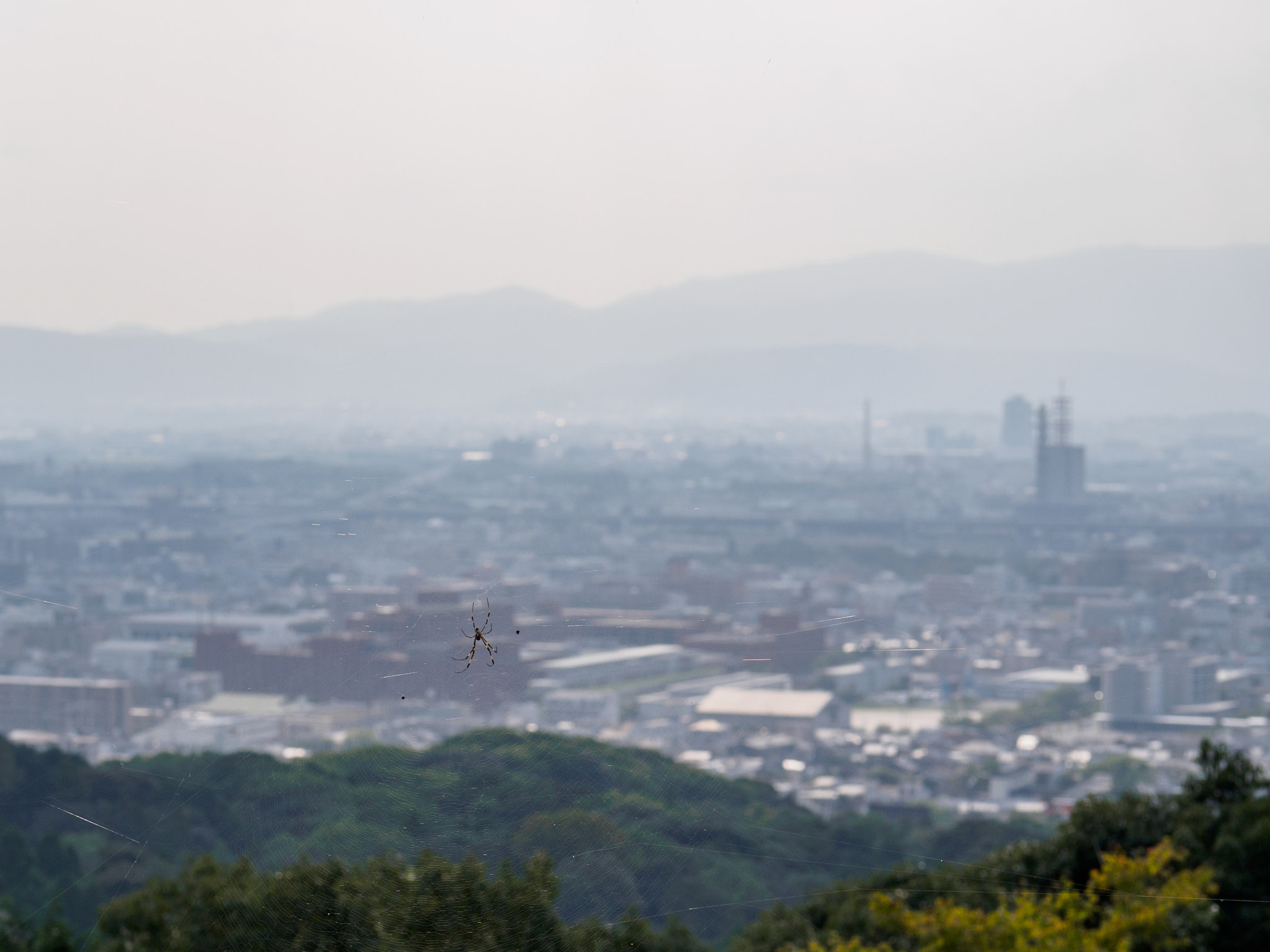 Panasonic Leica DG Nocticron 42.5mm F1.2 ASPH OIS sample photo. Olympus digital camera photography