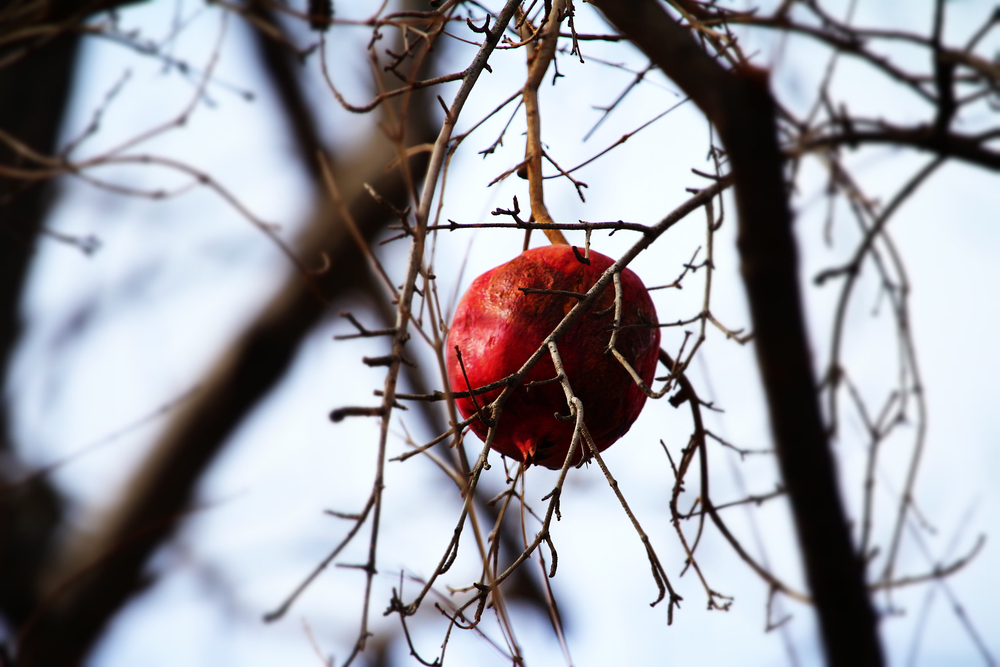 Canon EOS M sample photo