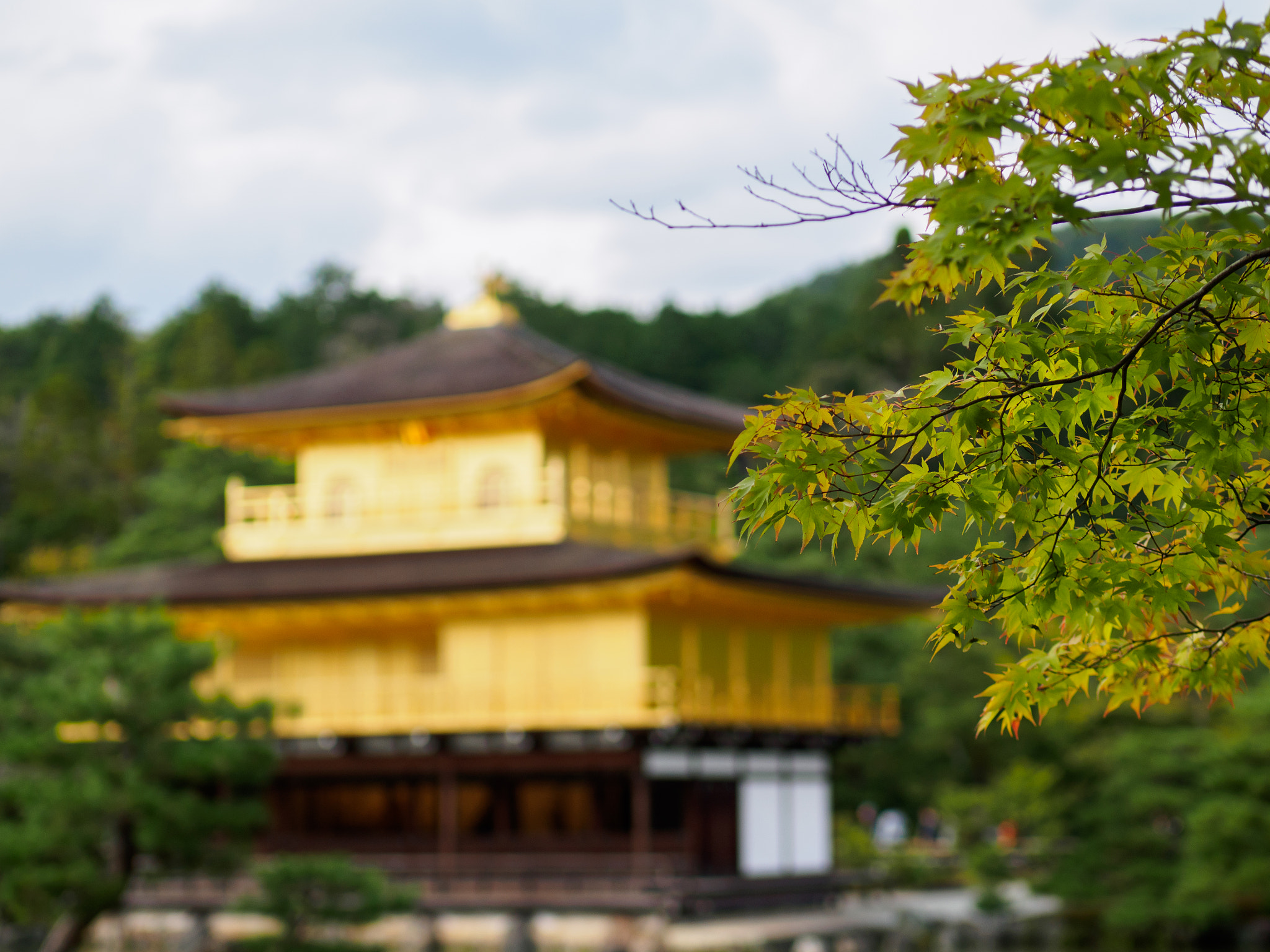 Panasonic Leica DG Nocticron 42.5mm F1.2 ASPH OIS sample photo. Olympus digital camera photography